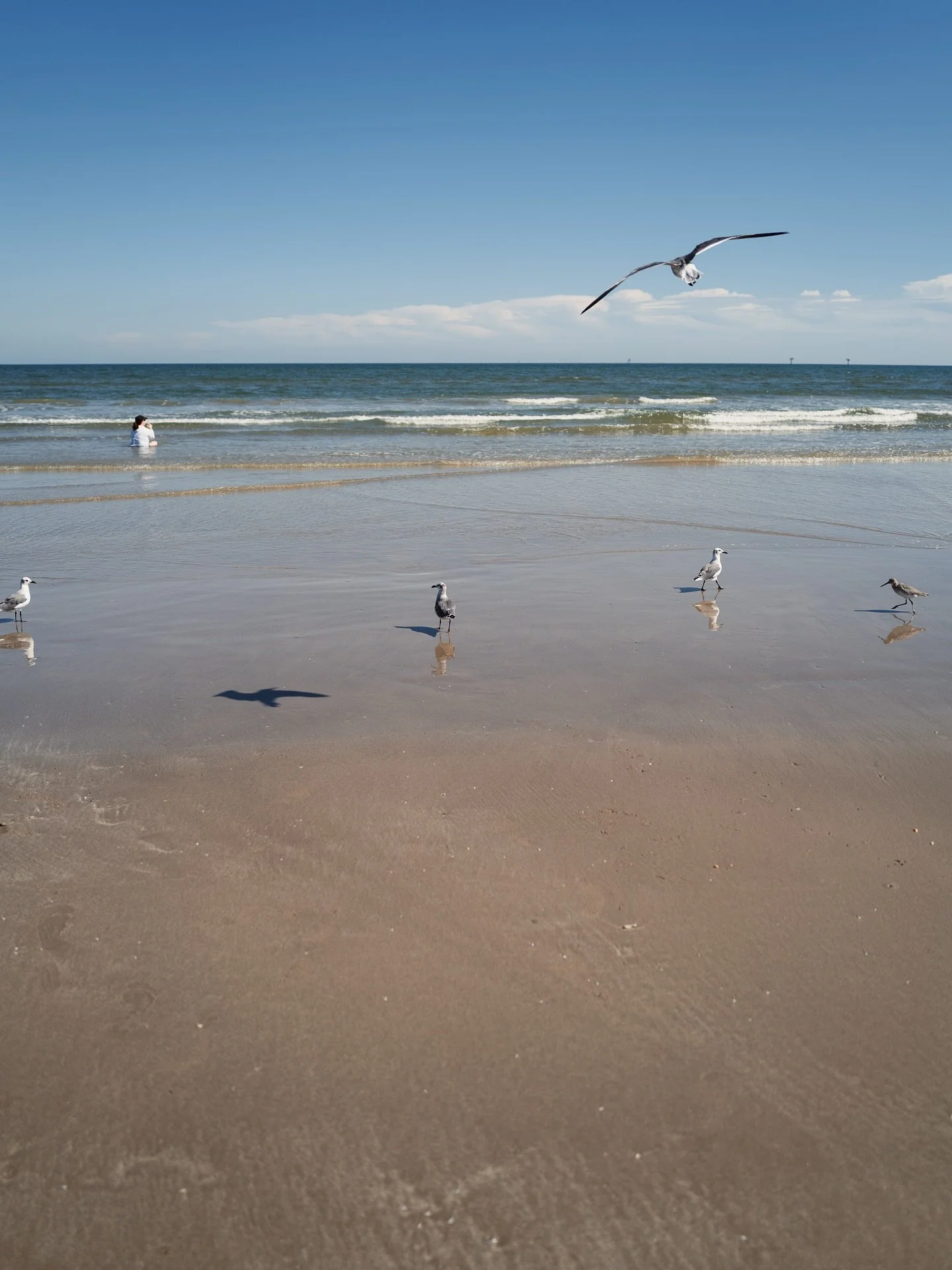 Haven&rsquo;t posted in a long while, so consider this a bit of a proof-of-life post&hellip; I think? Eh, anyway, throwing it back to a beach trip from last year. Does that even count? Maybe, maybe not. Either way, here it is.

I&rsquo;d love to say 