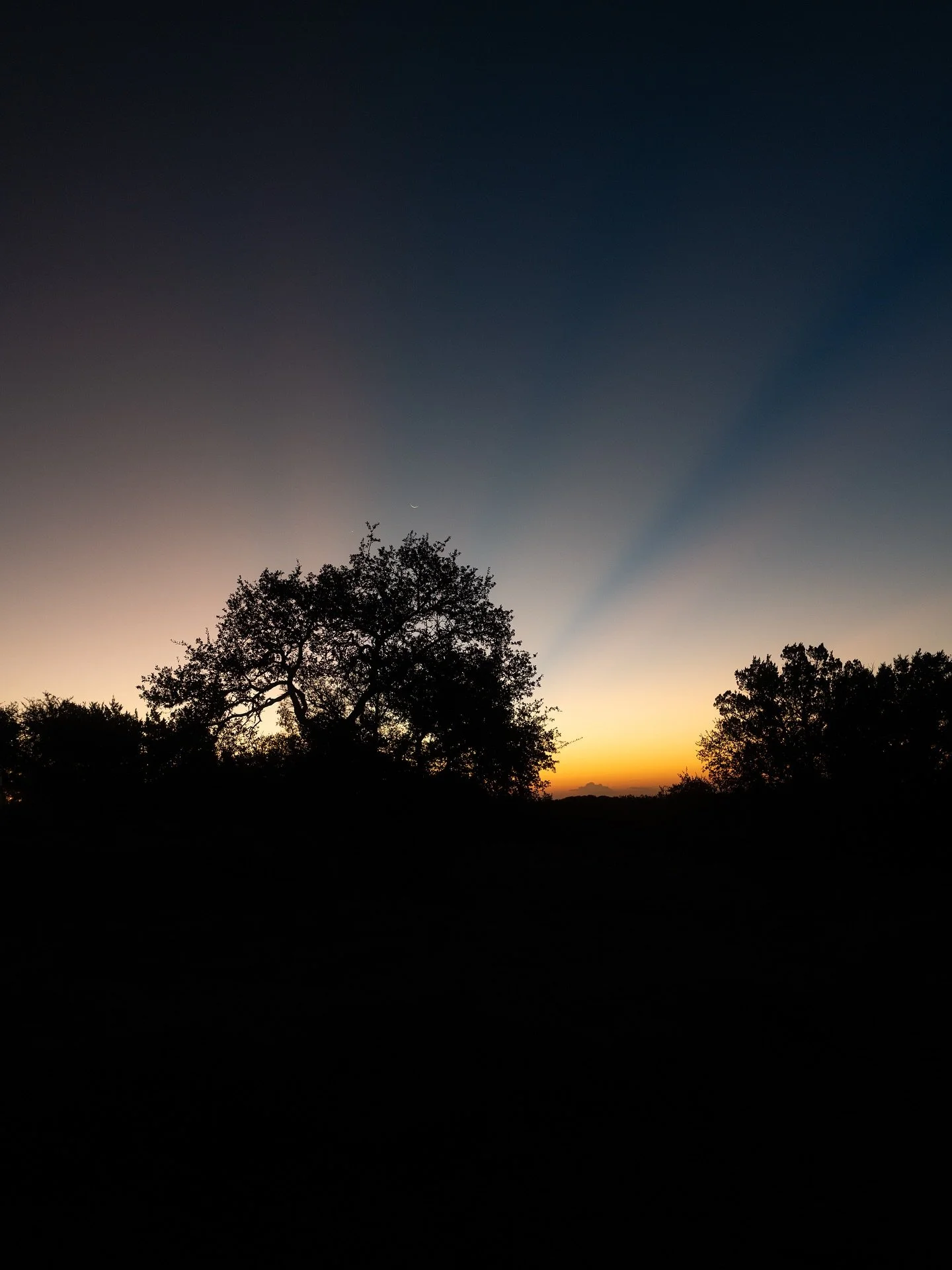 Sunrise and a nice cup of coffee. #LeicaQ2
#LeicaPhotography
#LeicaCamera
#TexasHillCountry
#CanyonLakeTexas
#TexasPhotography
#MorningLight
#CoffeeAndViews
#GoldenHourGlow
#CinematicPhotography
#FilmLook
#MinimalMood
#ExploreTexas
#VisualPoetry
#Slo
