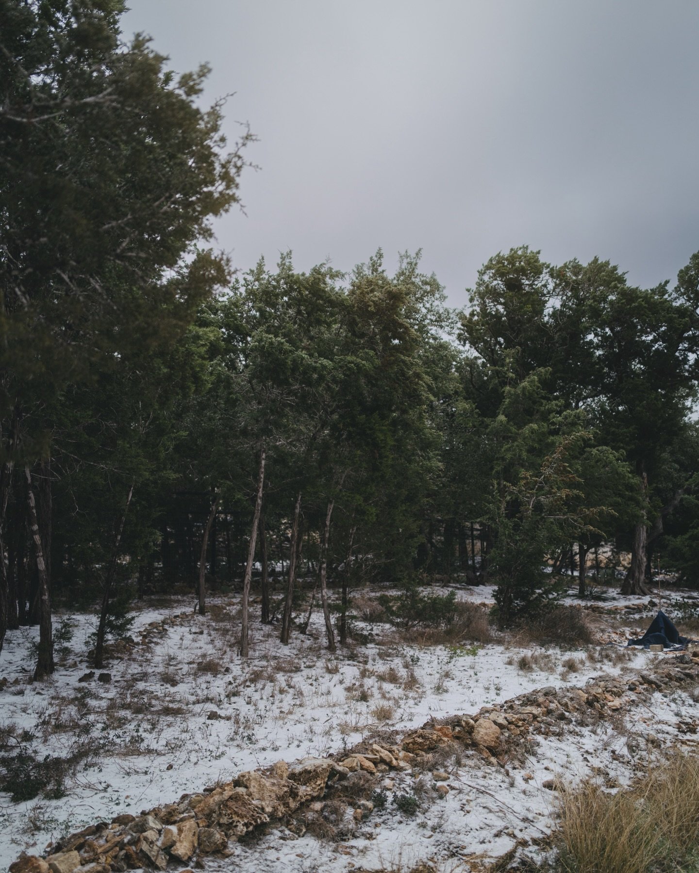 Chapitre Deux - I went outside, again. It was still cold. There was still ice. The sunshine left.

#LeicaQ2
#LeicaPhotography
#LeicaMood

#WinterInTexas
#SnowInTexas
#TexasHillCountry
#HillCountryLife

#QuietMoments
#Stillness
#SlowPhotography
#Moody