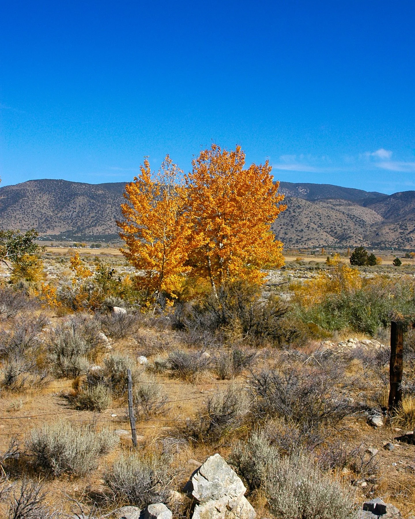 Diggin&rsquo; through my archives and feelin&rsquo; a little nostalgic for the days that were a tad bit simpler, and far less technologically dependent. 

This series of images were taken during the brief time that I spent living in Northern Nevada. 
