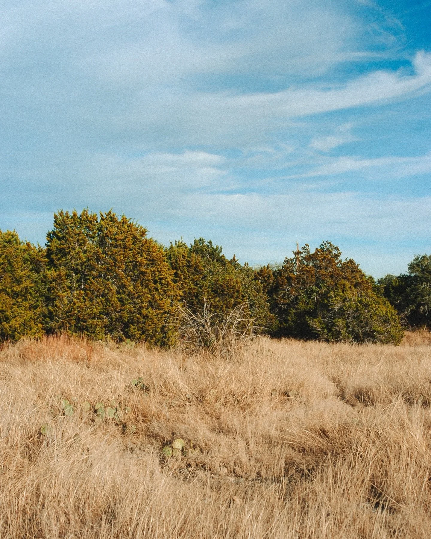 The more I revisit photos from my past, the stronger my desire to isolate becomes. To get in my truck, disappear down some backroads, and put as much distance as possible between myself and the urban sprawl that continues to erode the landscape I gre