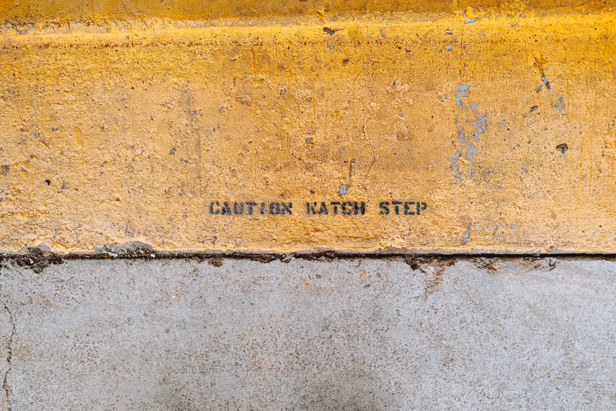 L1005132.jpg