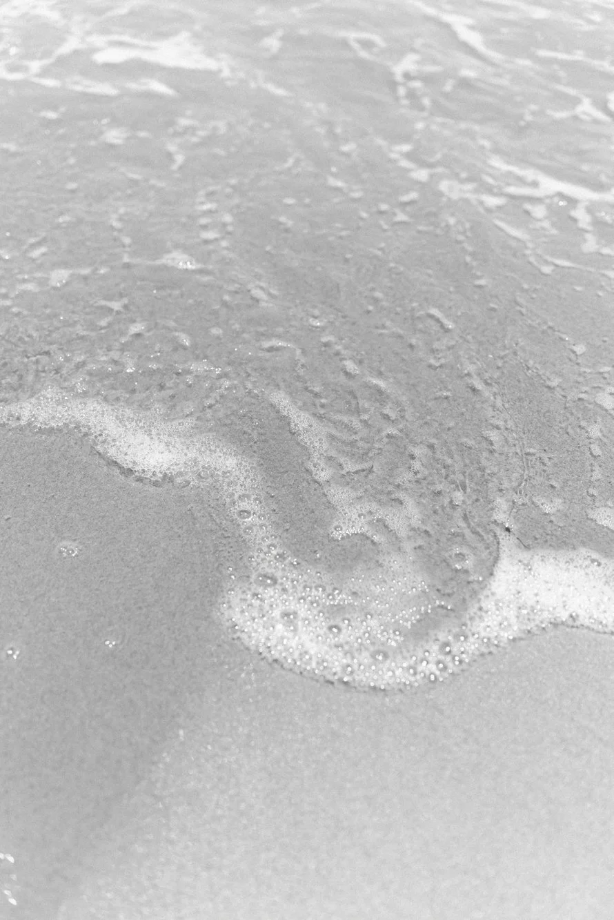 L1005164.jpg