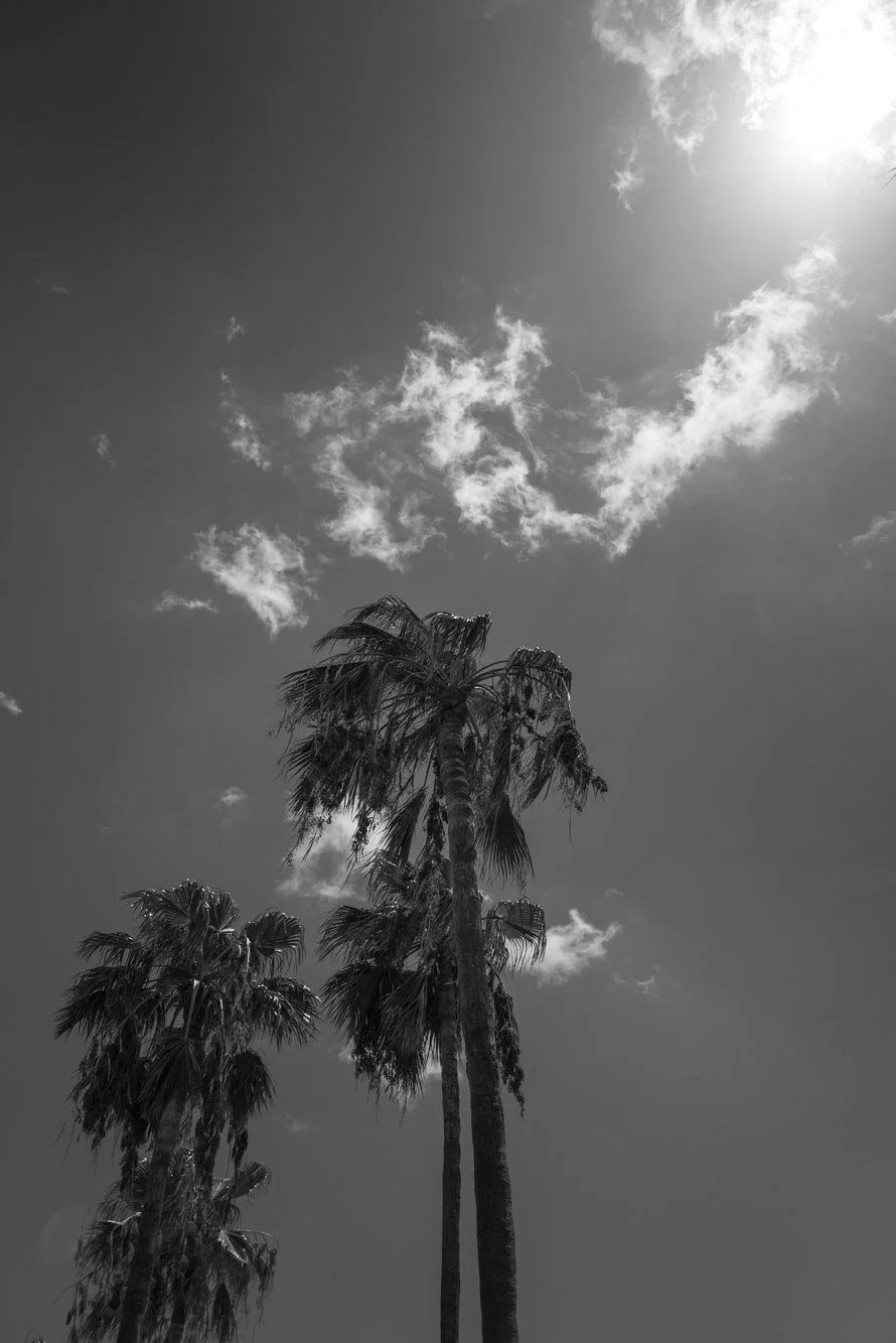 L1005142.jpg