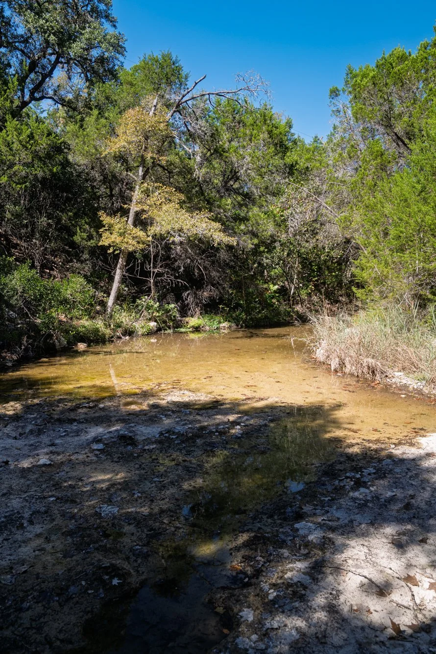L1006066.jpg