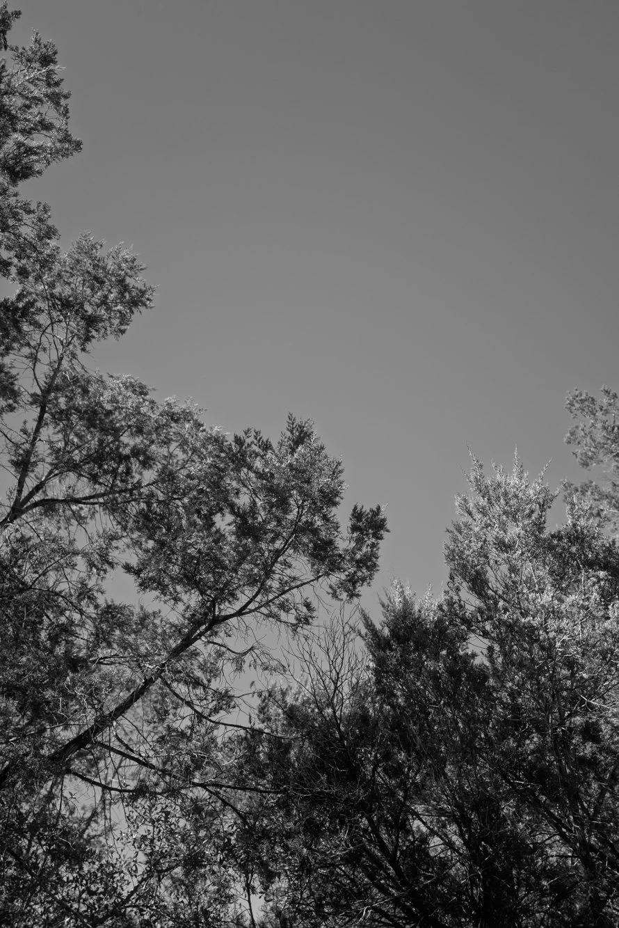L1006057.jpg