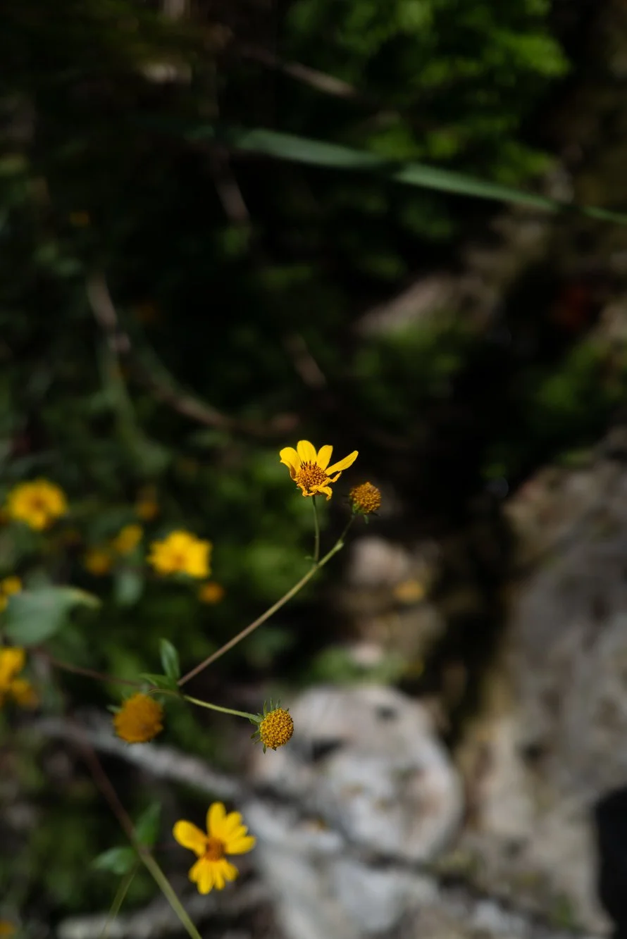 L1006040.jpg