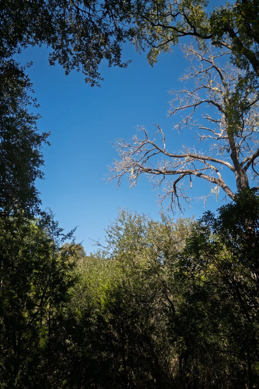 L1006022.jpg