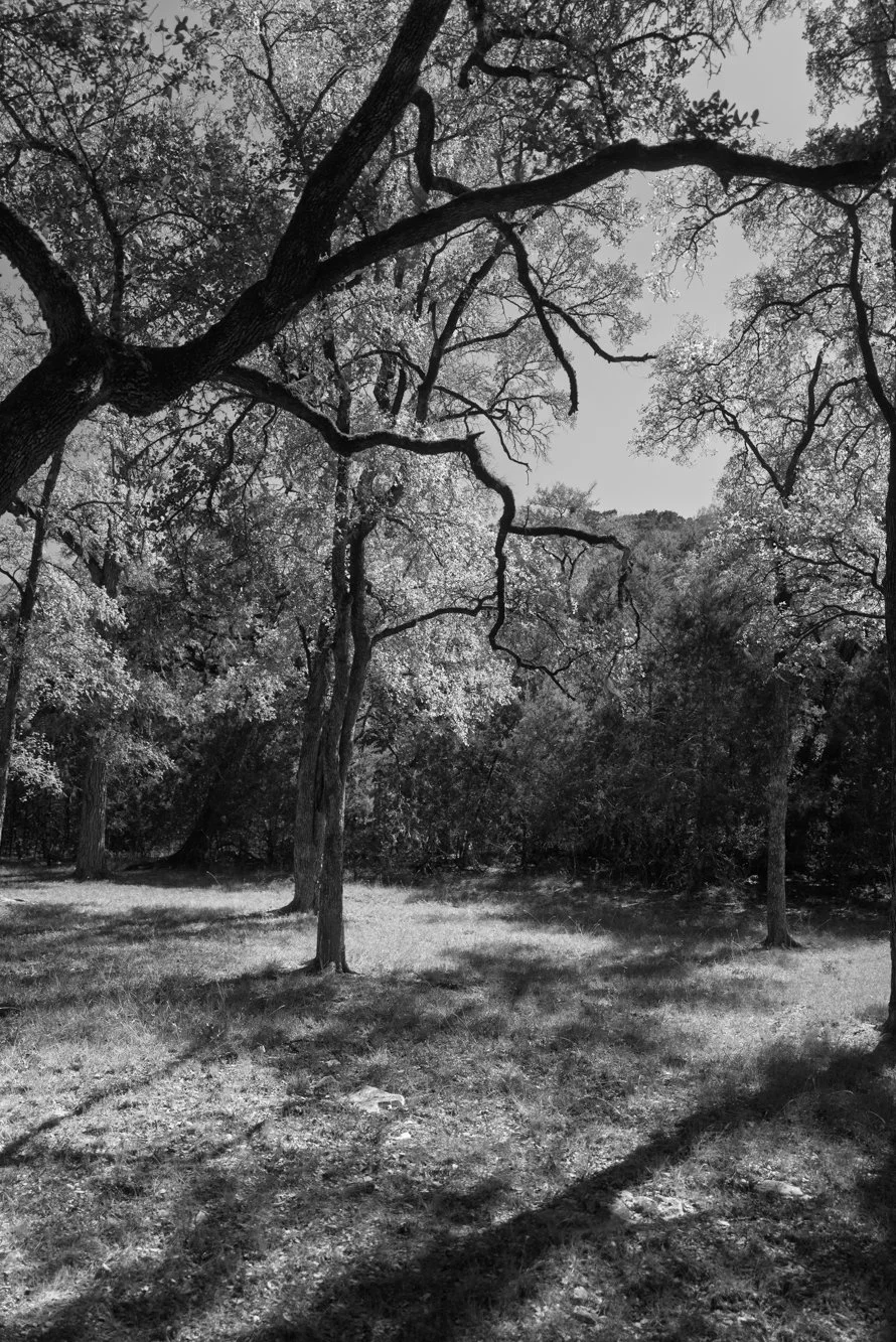 L1006024.jpg