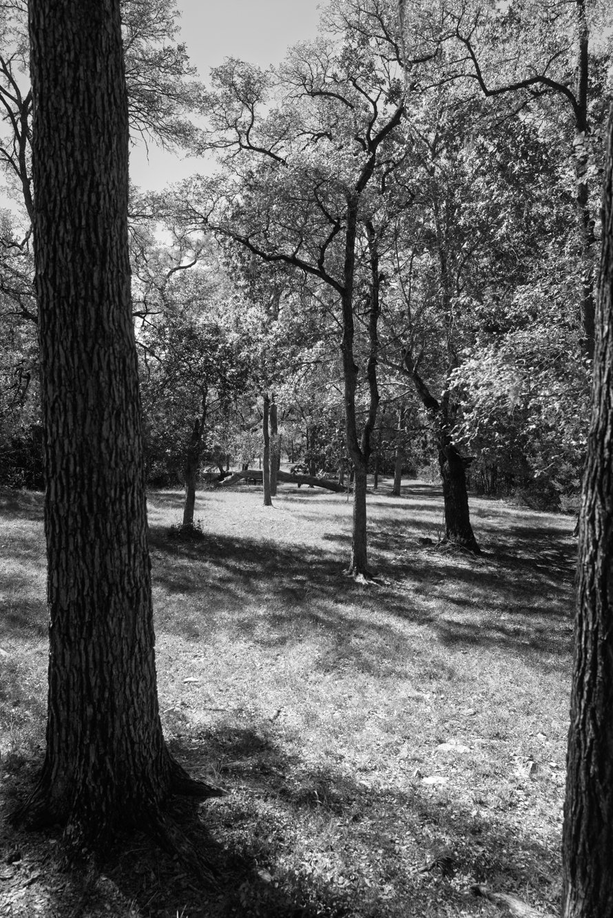 L1006026.jpg