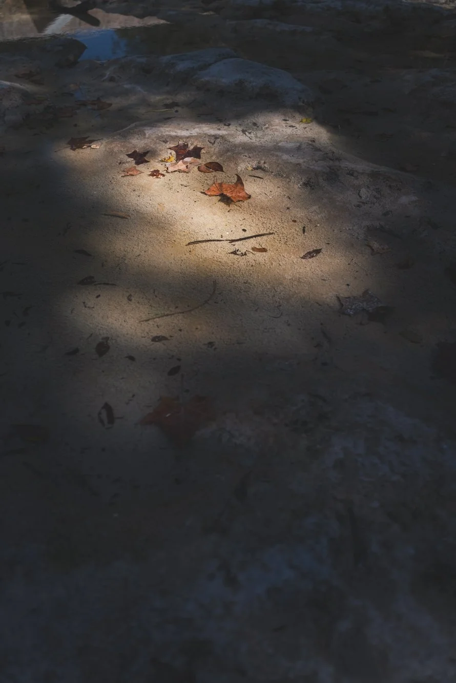 L1005987.jpg