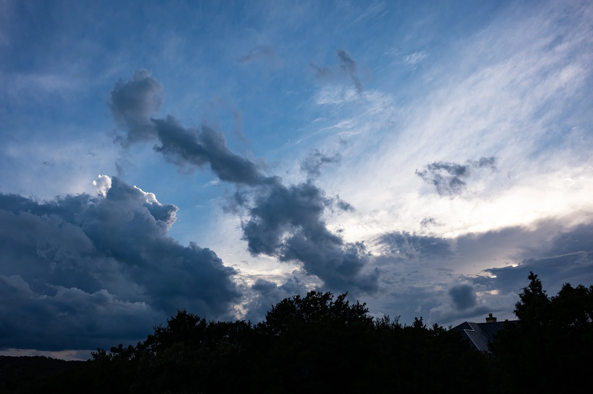 L1000298.jpg