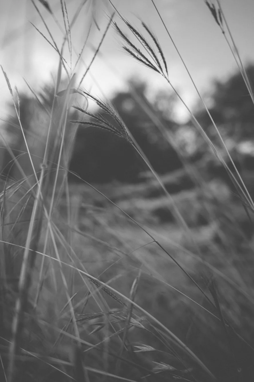L1000196.jpg