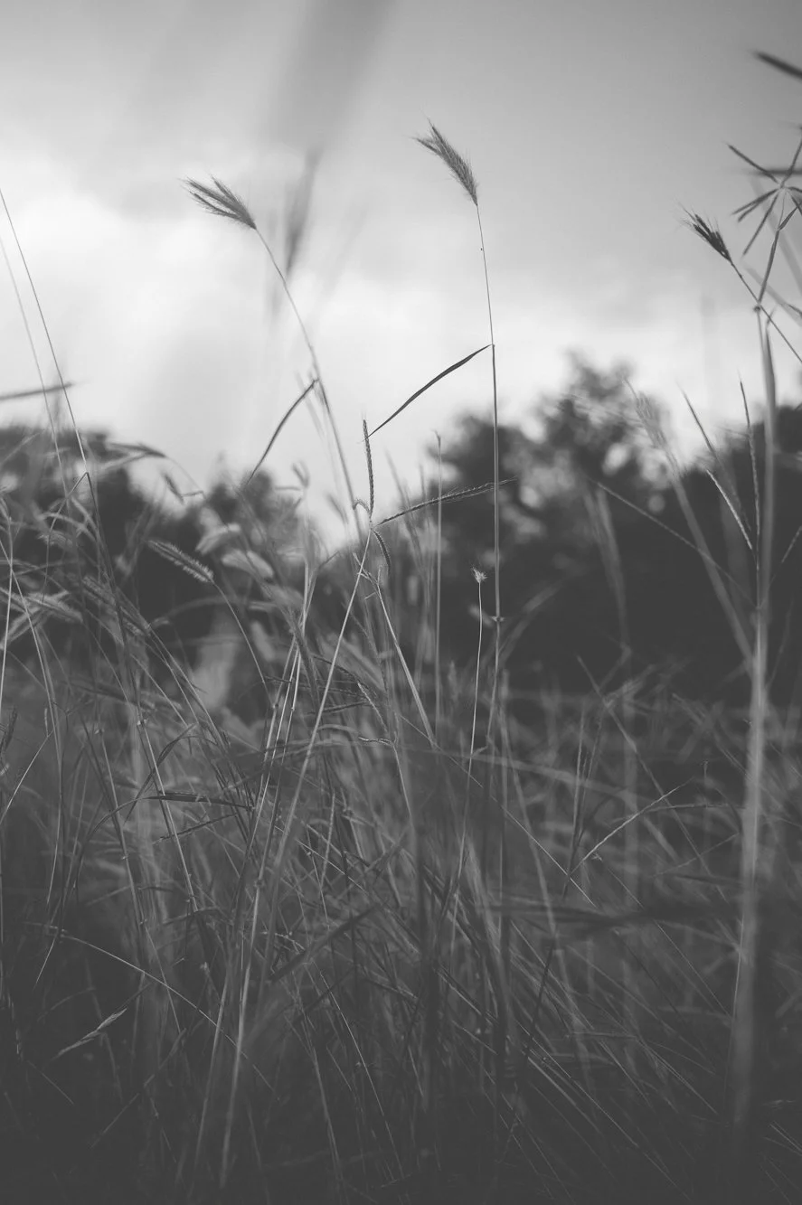 L1000194.jpg