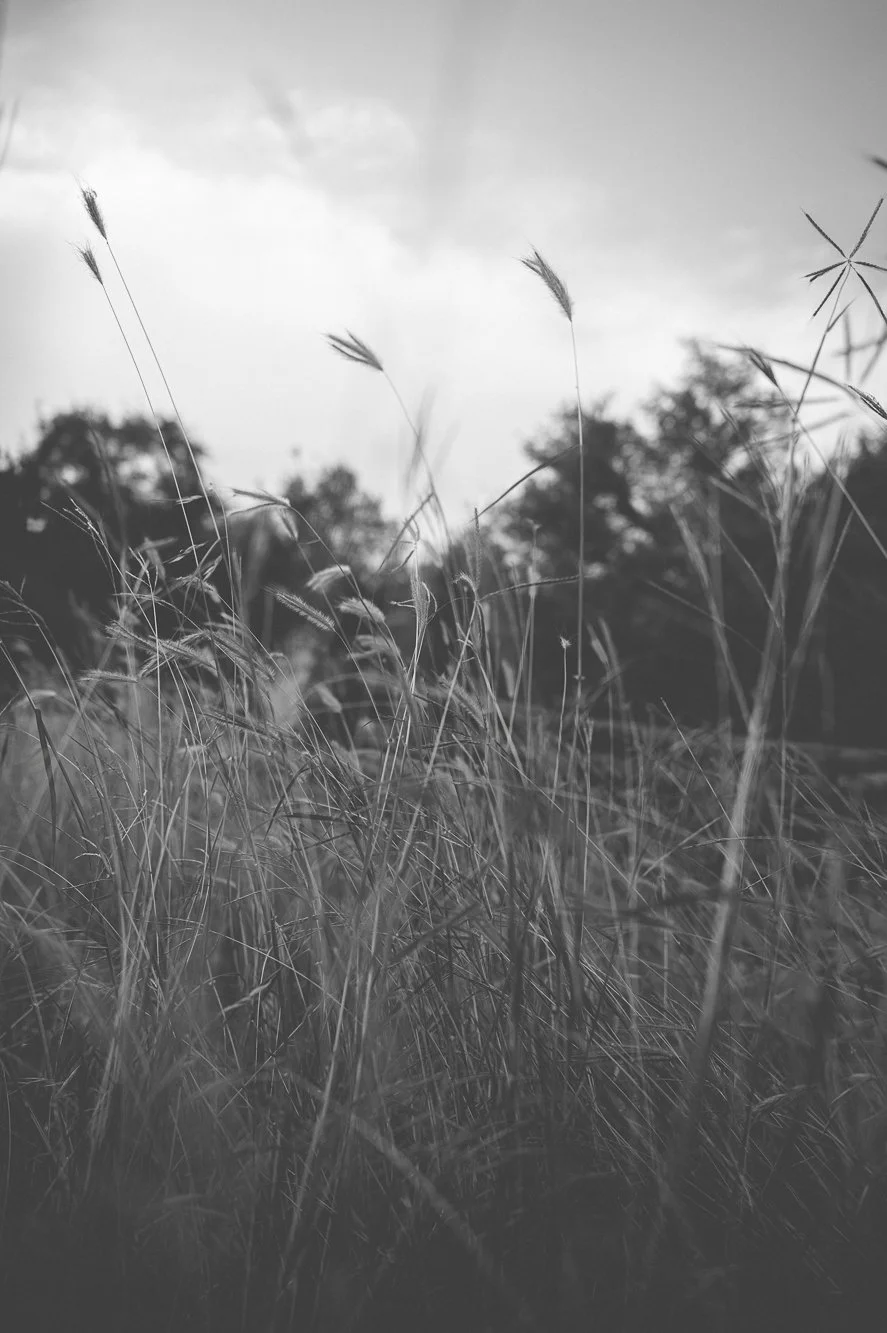 L1000193.jpg