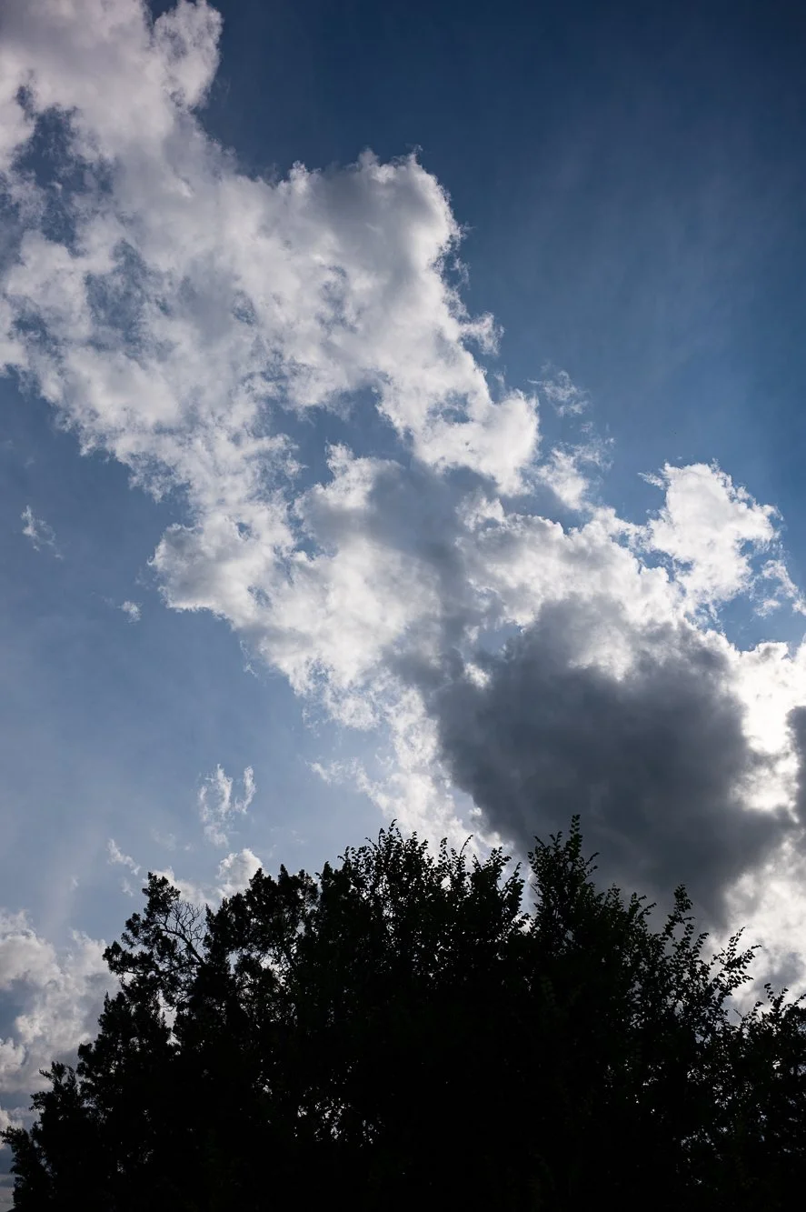 L1000170.jpg