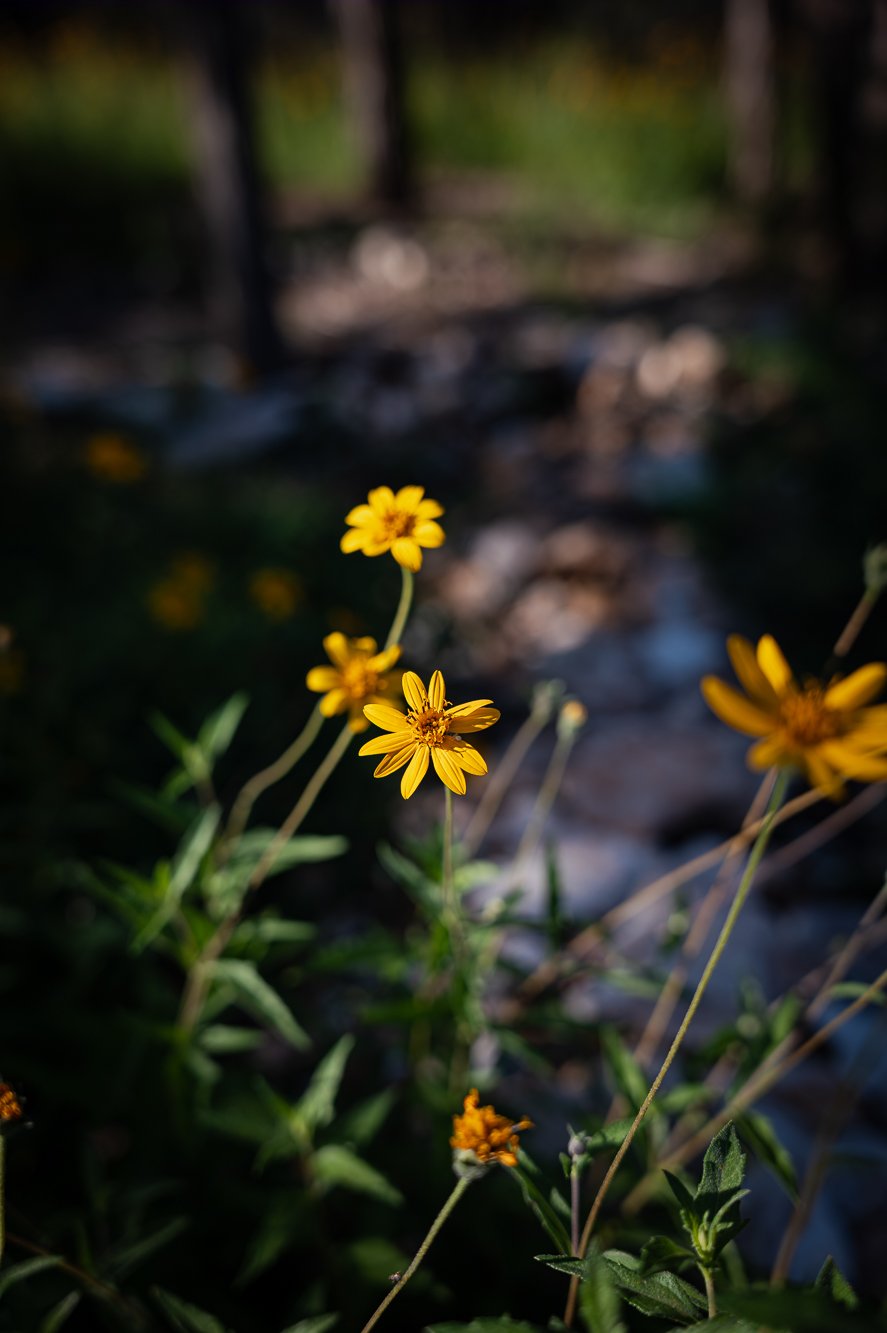 L1000020.jpg