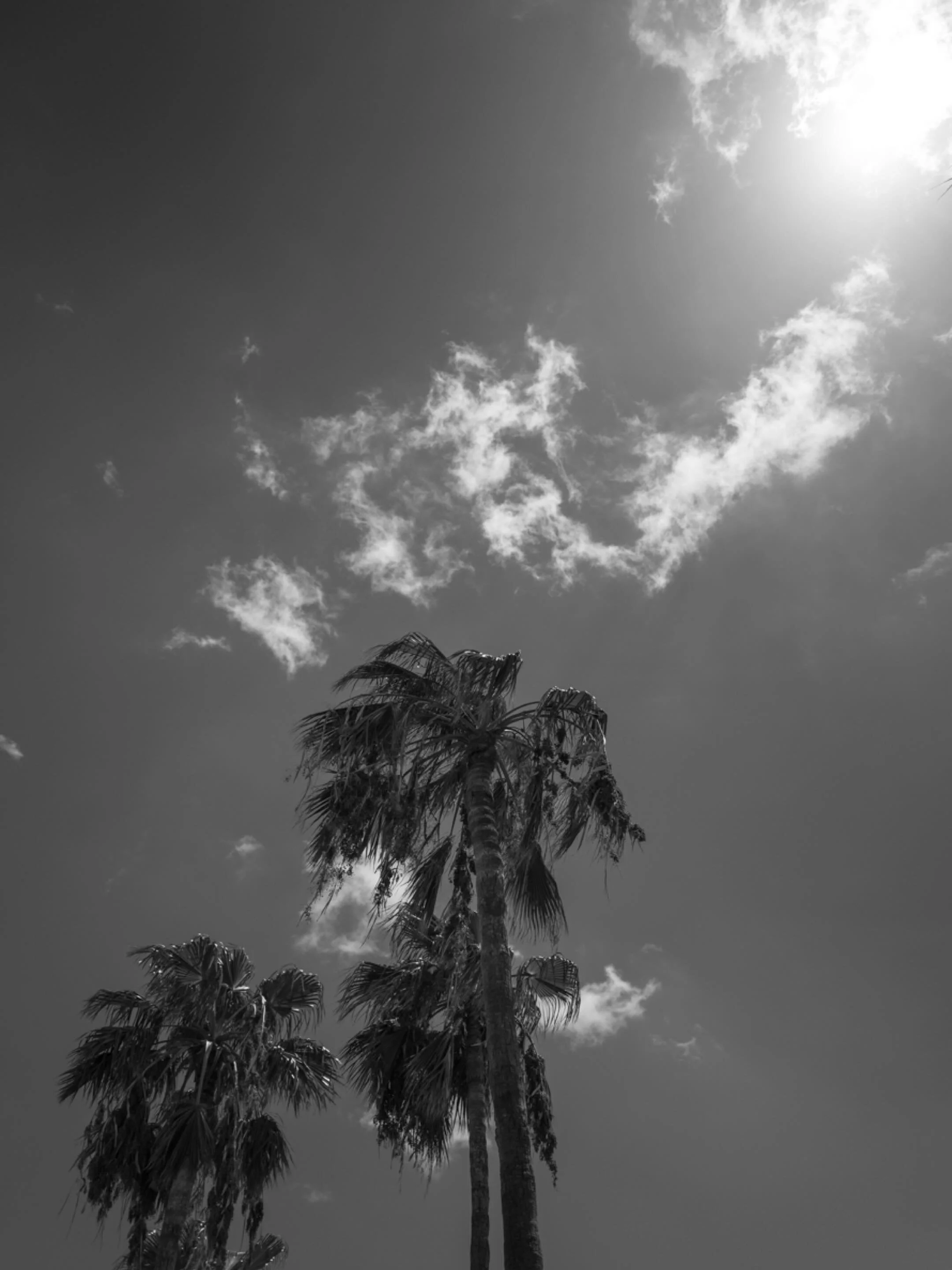 Last July I took my youngest son on one of my Corpus work trips, and it turned out to be one of the better ideas I&rsquo;d had in awhile. 

New story live on my site.

#leicaq2 #corpuschristi #worktrip #exploretexas #lifeisbetteroutside