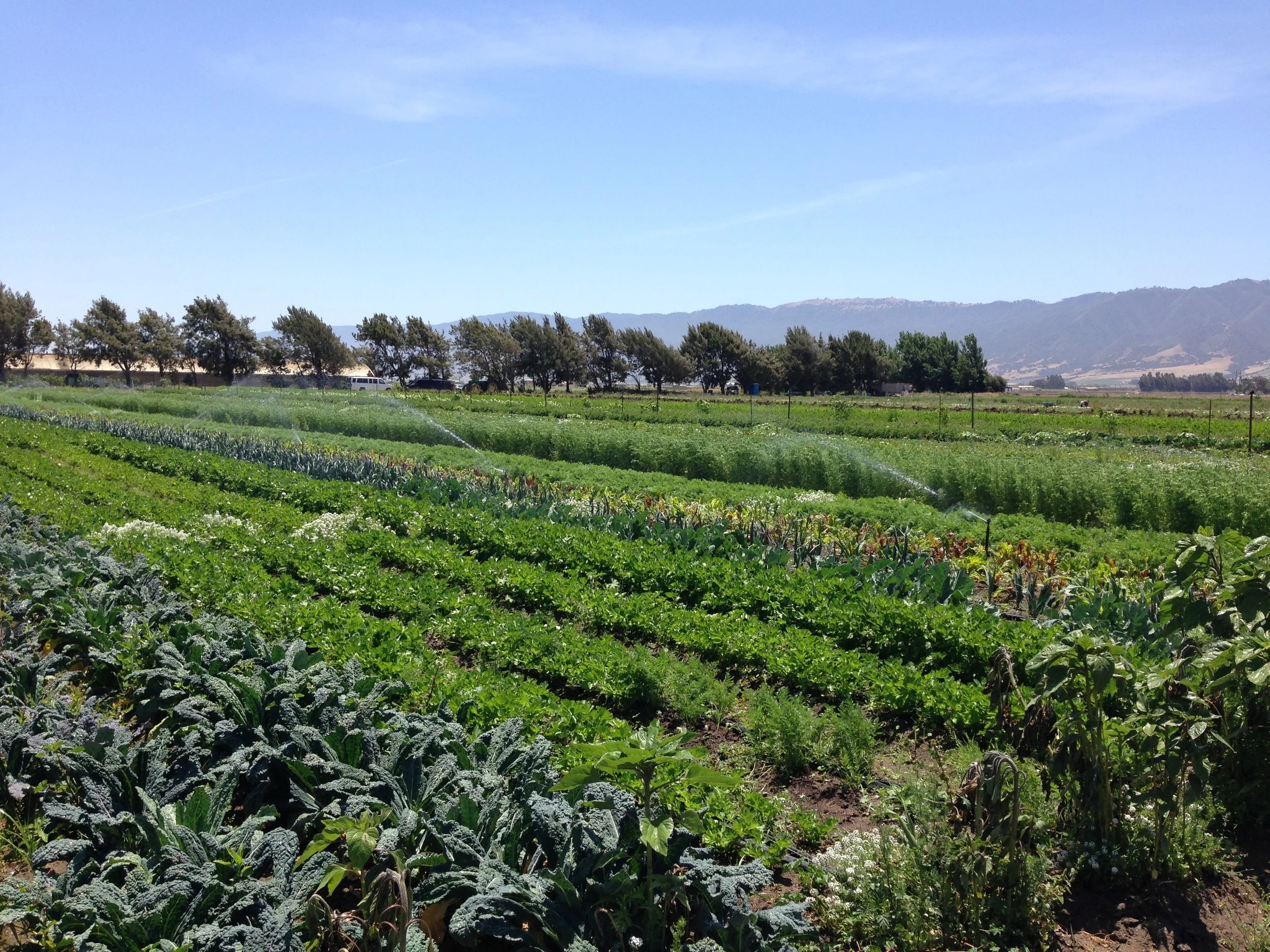 Mapping Canadian agricultural multifunctionality