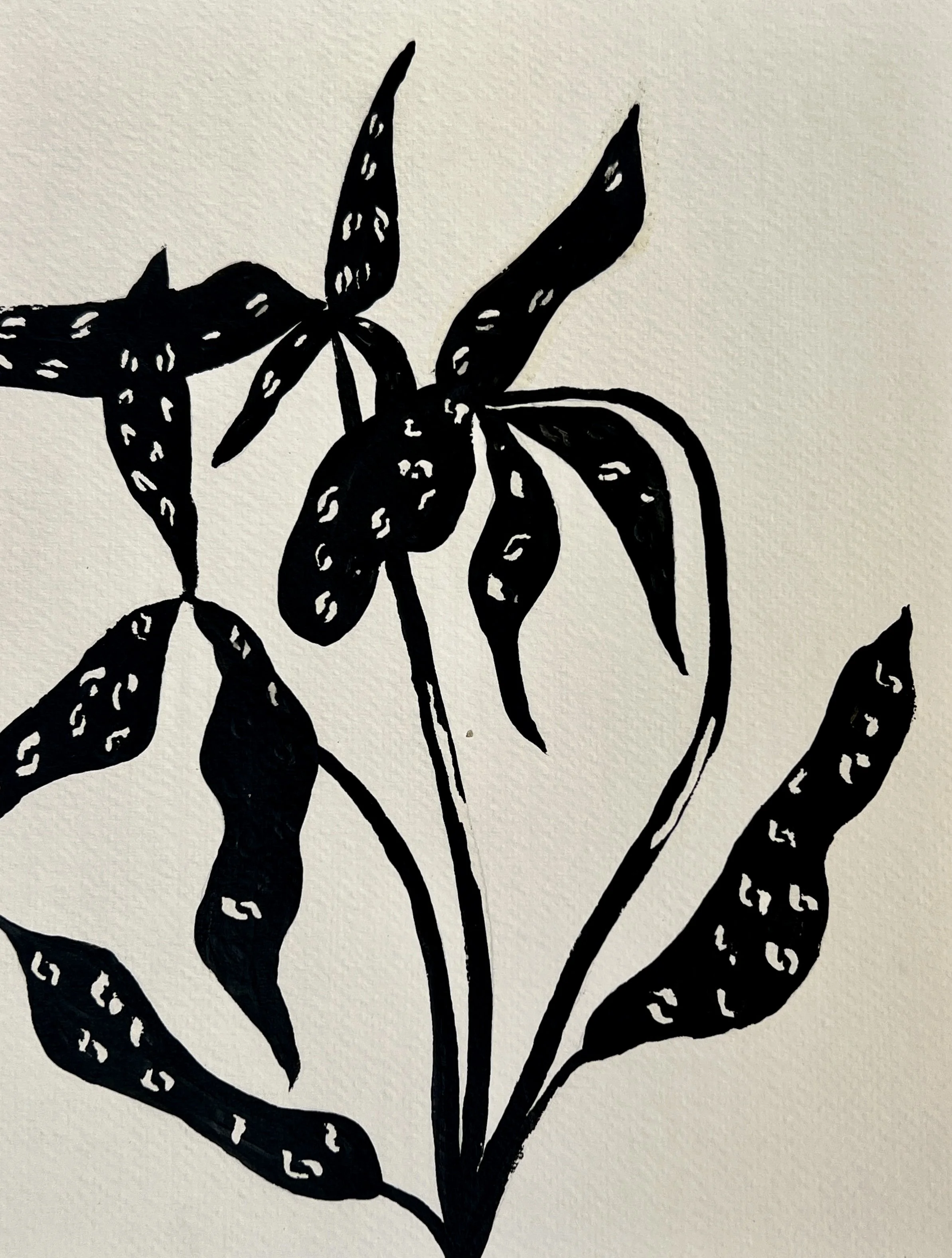 Pintura acrílica // Masking líquido // 8" x 11" // 21.5 x 28 cm