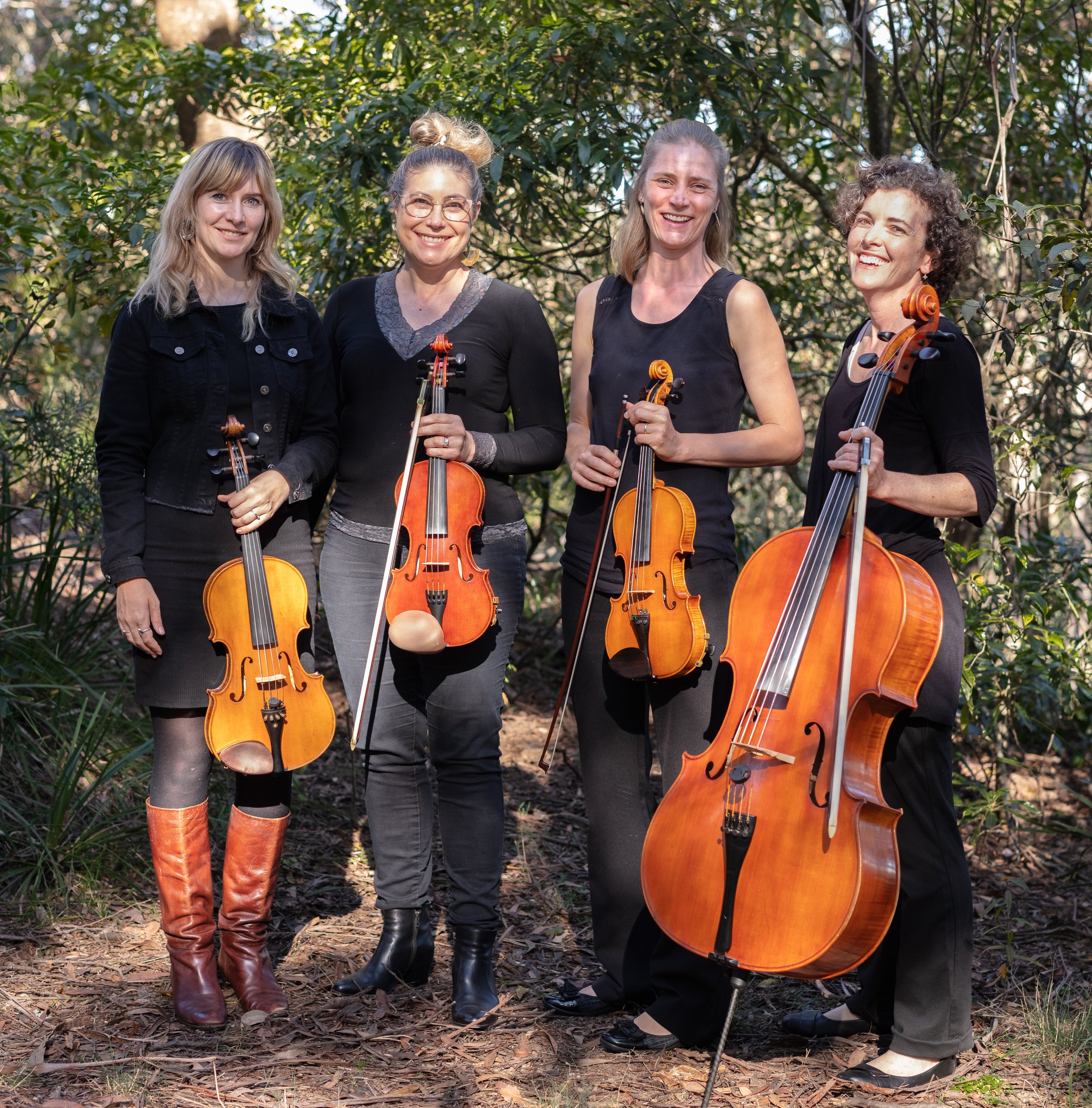 BLUE MOUNTAINS STRING QUARTET