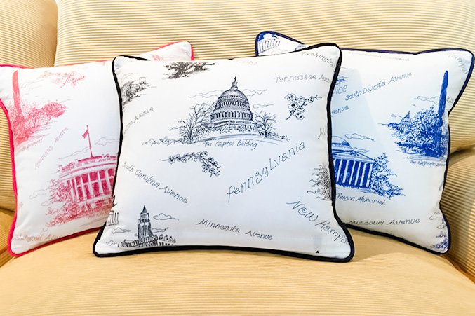 WashingtonDC-Pillows.jpg