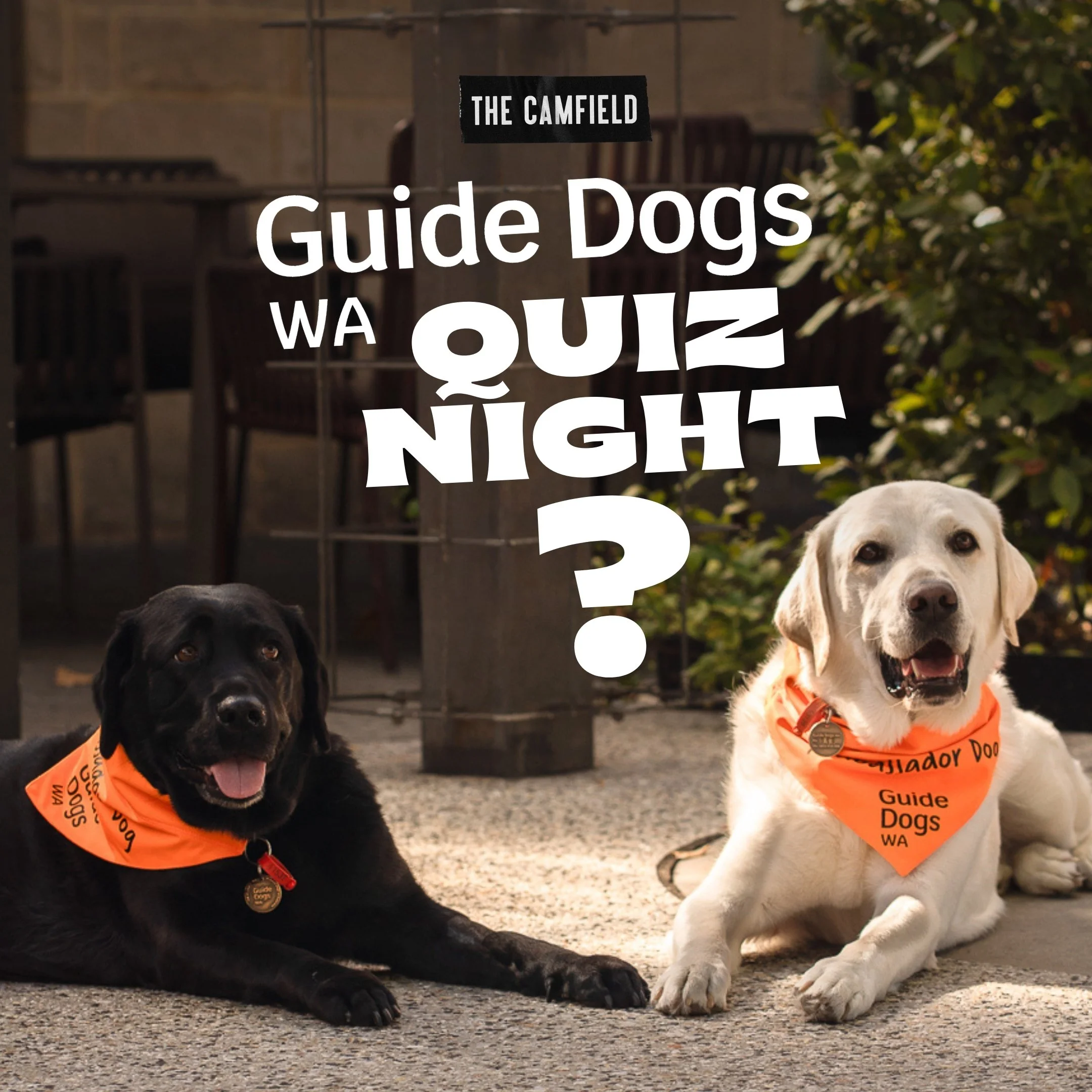 Guide Dogs WA Quiz Night
