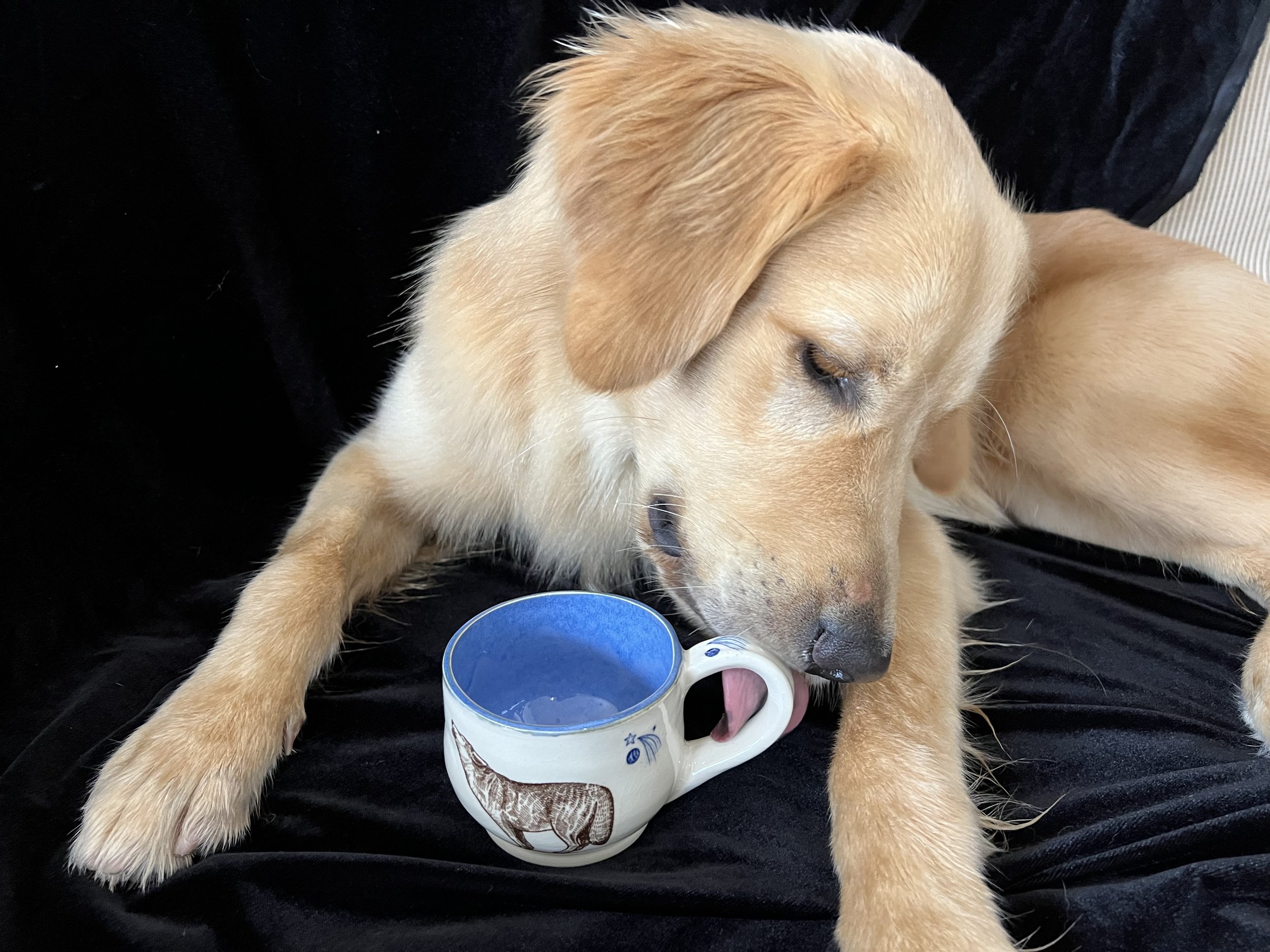 Night Sky Mug