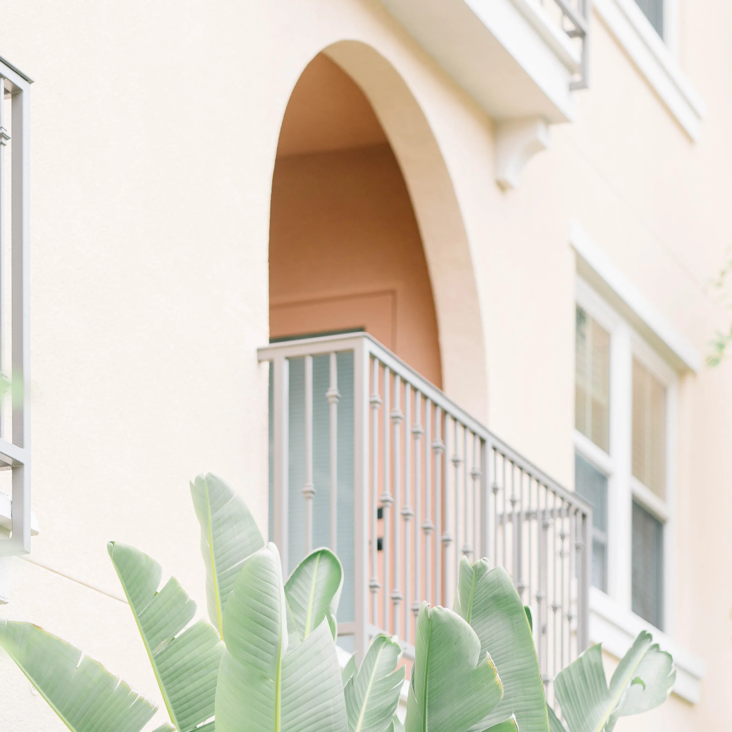 A pale pink archway to a balcony of an apartment. A palm tree is in the foreground.