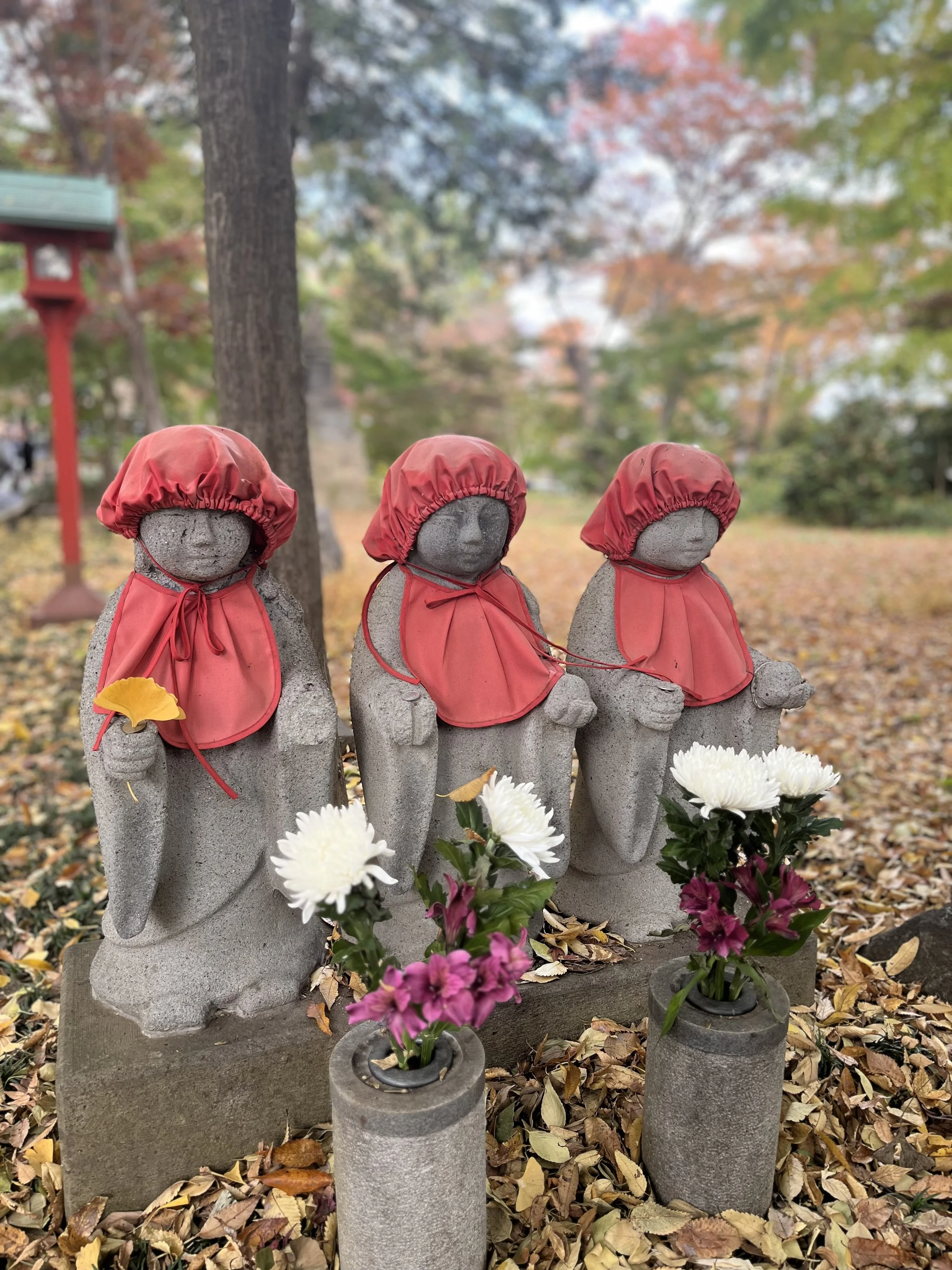 Autumn Foliage at Kuhonbutsu Joshin-ji Temple- Japanese home cooking class in Tokyo