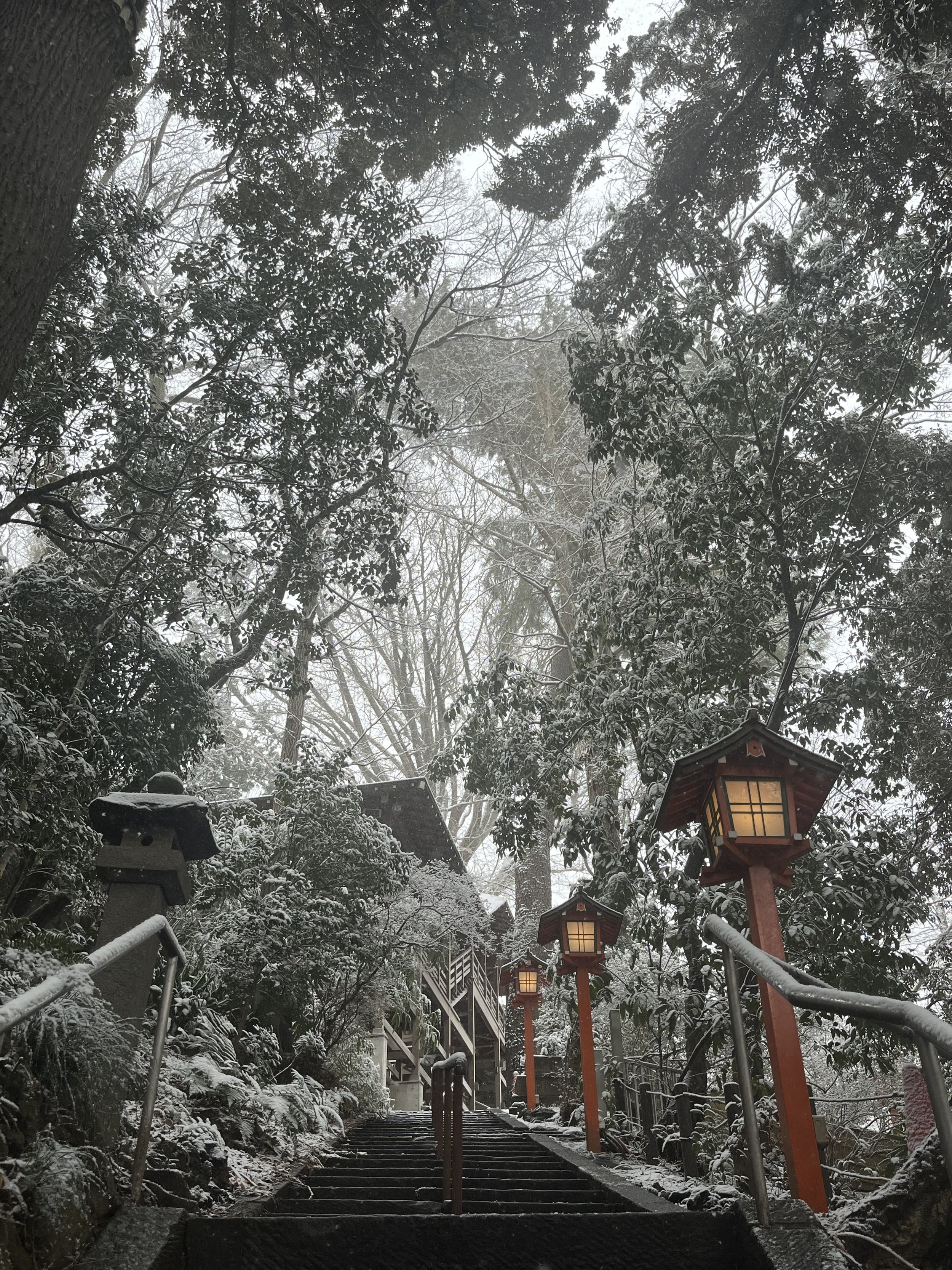 It's snowing in Tokyo- Japanese home cooking class in Tokyo