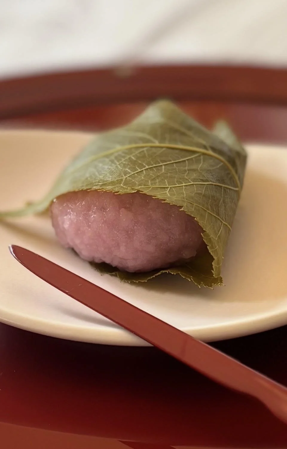 Cherry Blossoms and Sakura-mochi in Tokyo-Japanese Home Cooking and Sweet Class in Tokyo