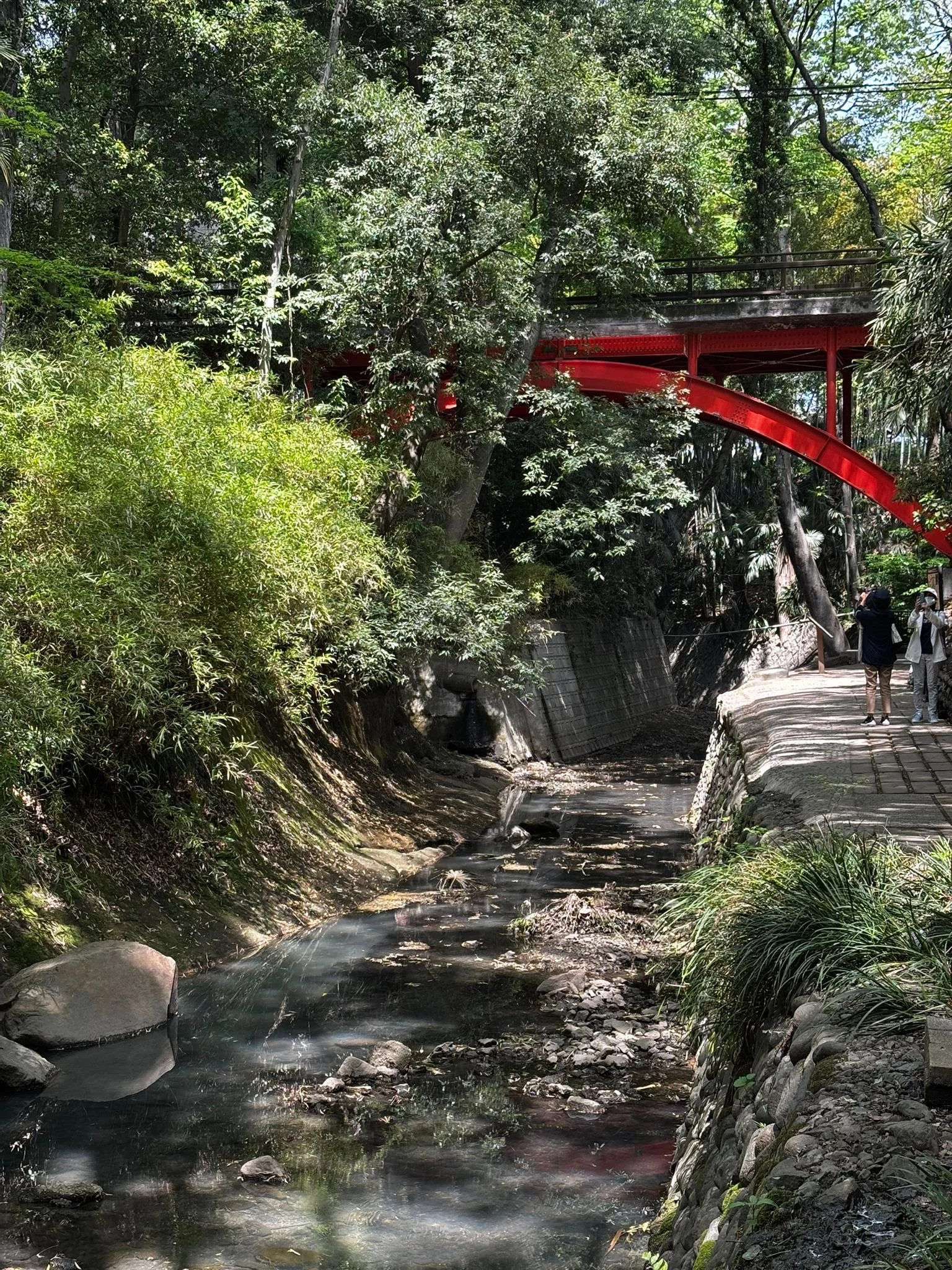 Todoroki Valley in Setagaya city- Japanese Home Cooking and Sweet Class in Tokyo