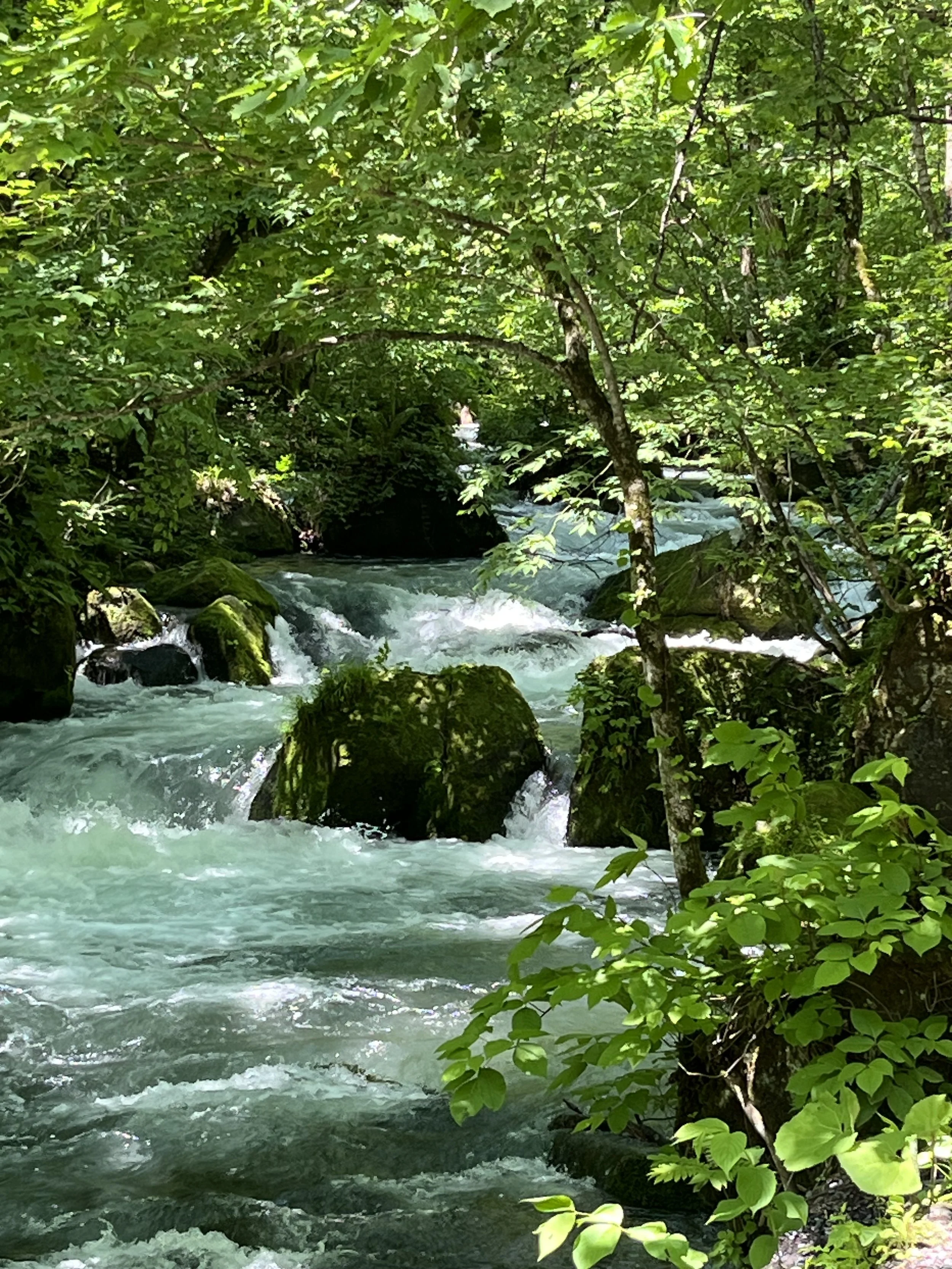Oirase Stream, Aomori prefecture trip- Japanese Home Cooking and Sweets Class in Tokyo
