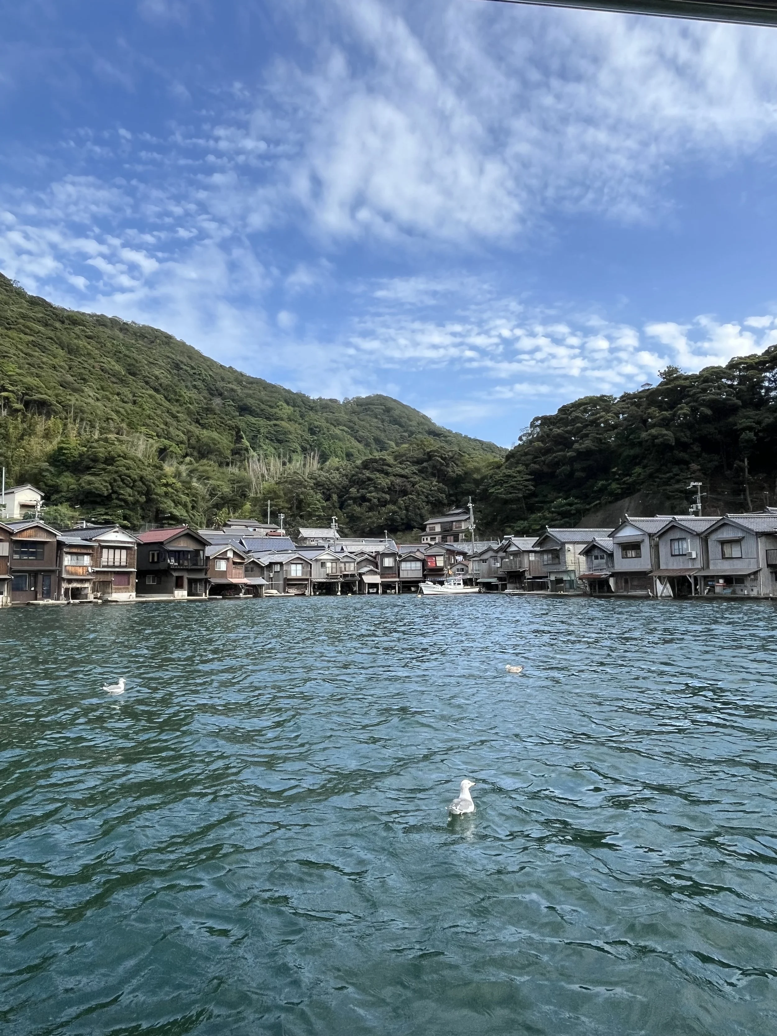 Ine Funaya Boathouses in JAPAN- Japanese Home Cooking and Sweets Class in Tokyo