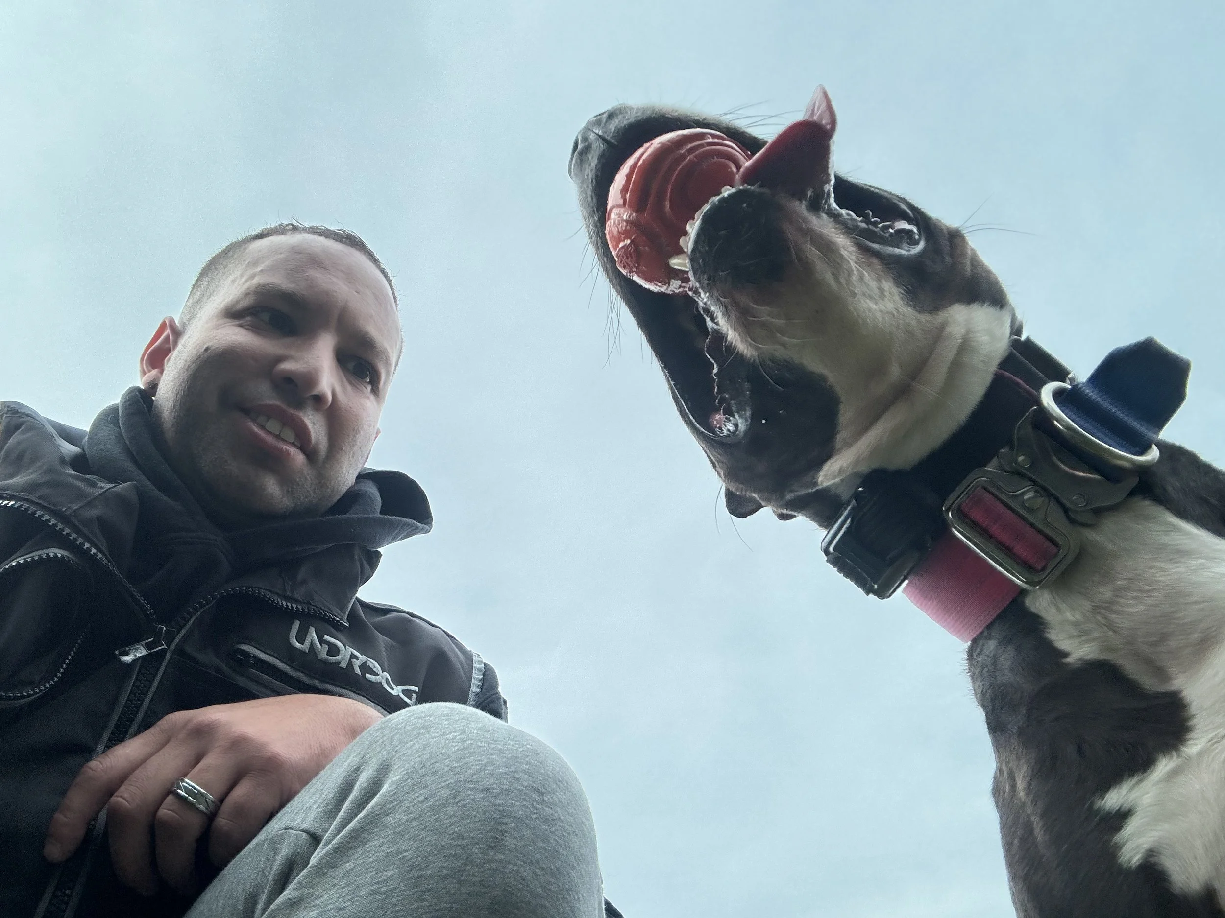 Eric with a playful dog holding a ball in its mouth, looking up at the sky.