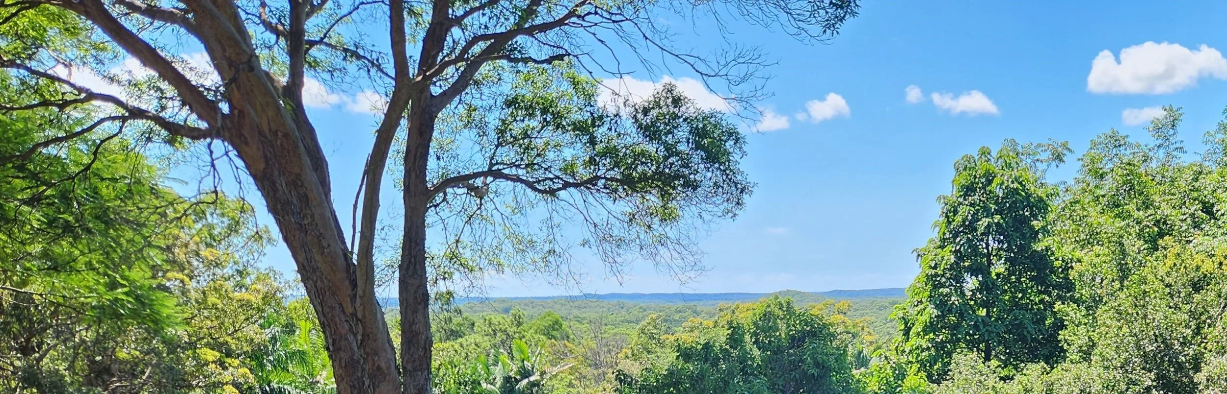 QLD SRF Convocation 2024 — SelfRealization Fellowship Sunshine Coast