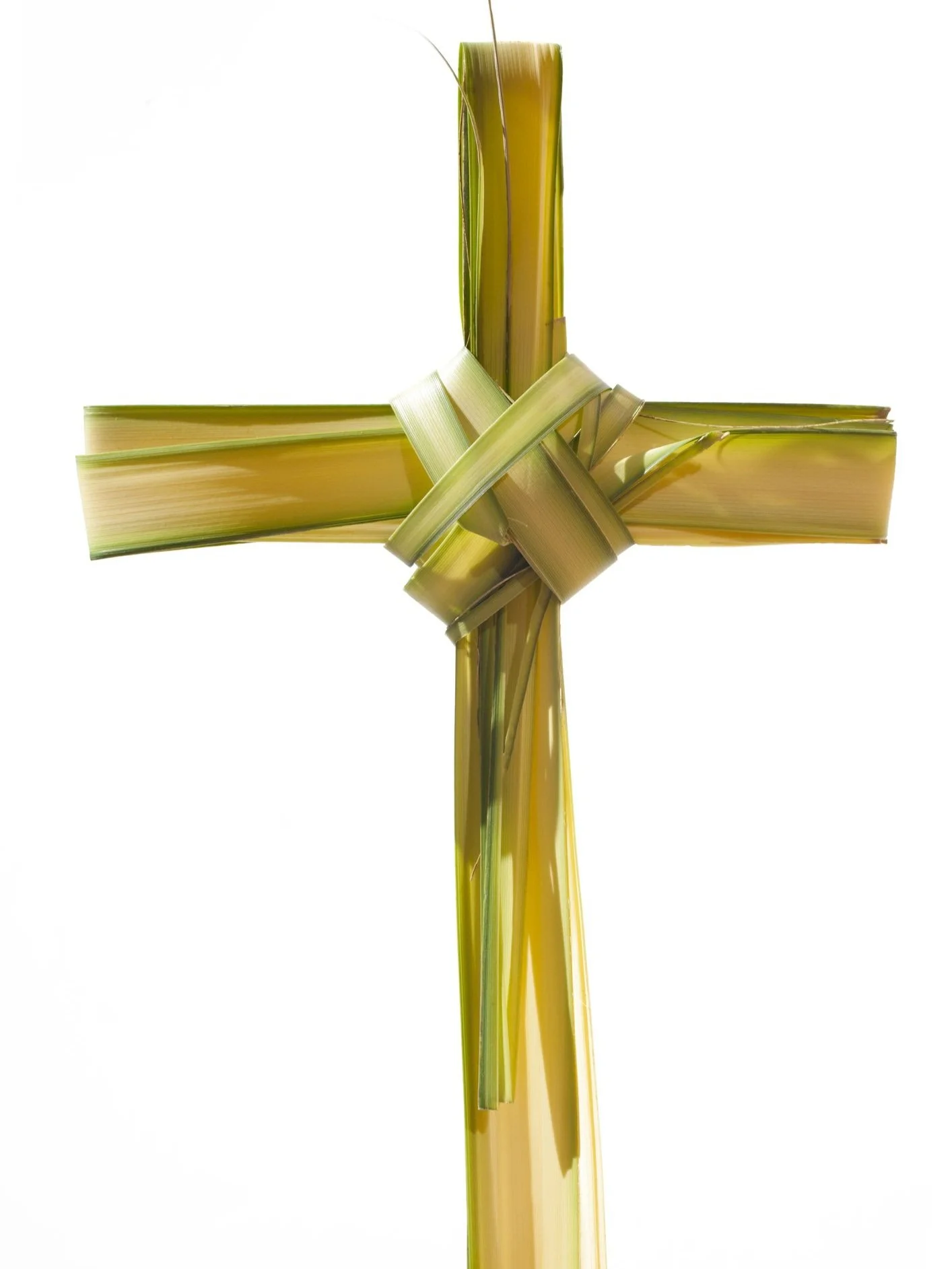 Palm Sunday - Holy Trinity 