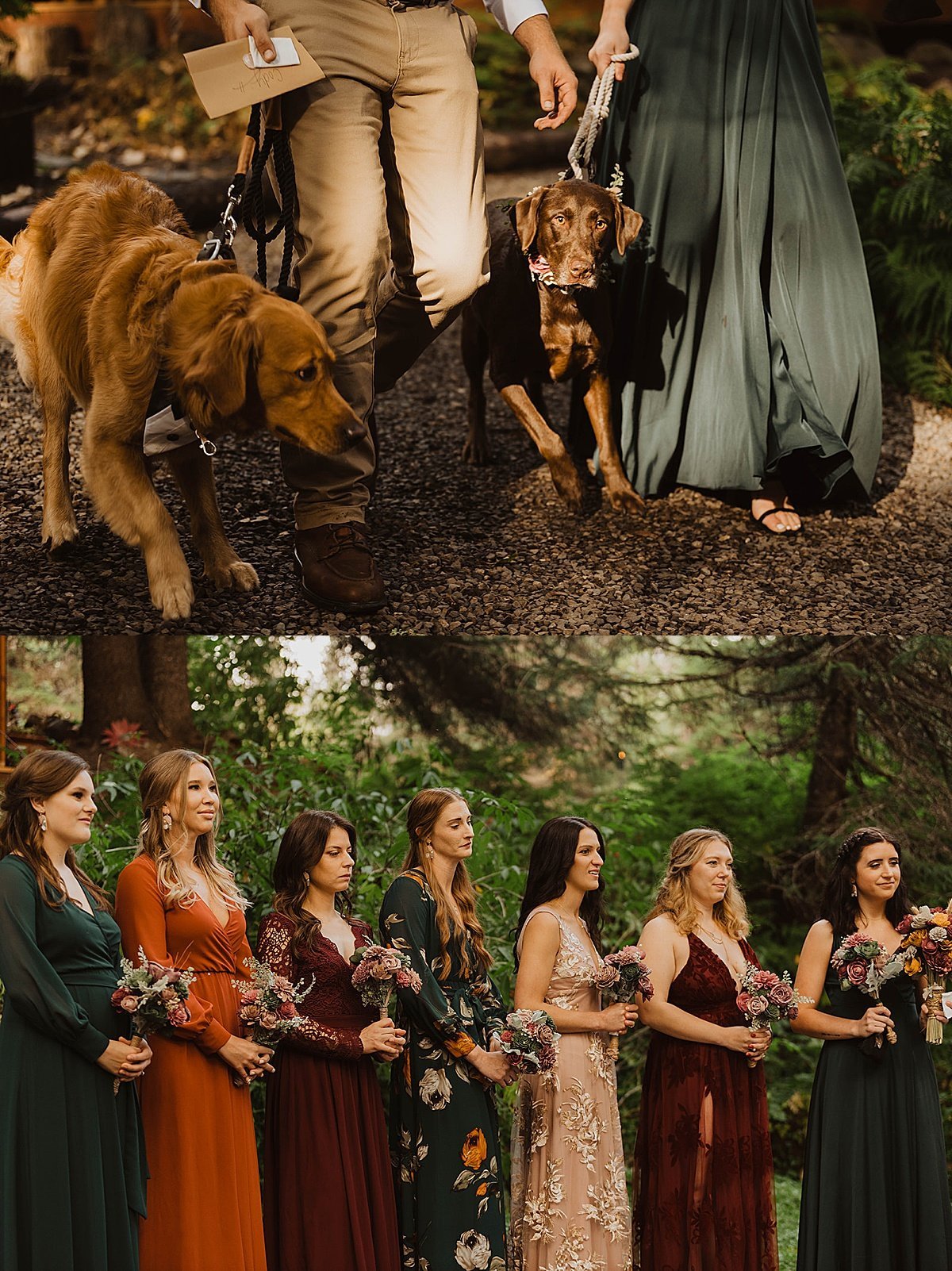  Bride and groom’s two puppies walk the aisle as bridesmaids in jewel-tone velvet dresses look on during ceremony shot by alaska wedding photographer 