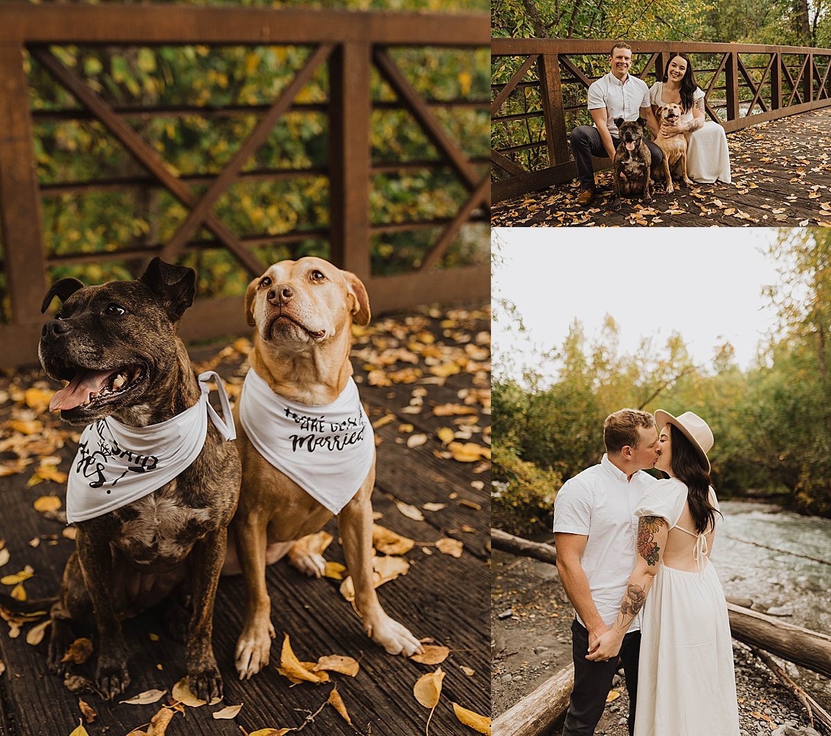  Two cute puppies sit with engaged couple in outdoor photo shoot with alaska wedding photographer 