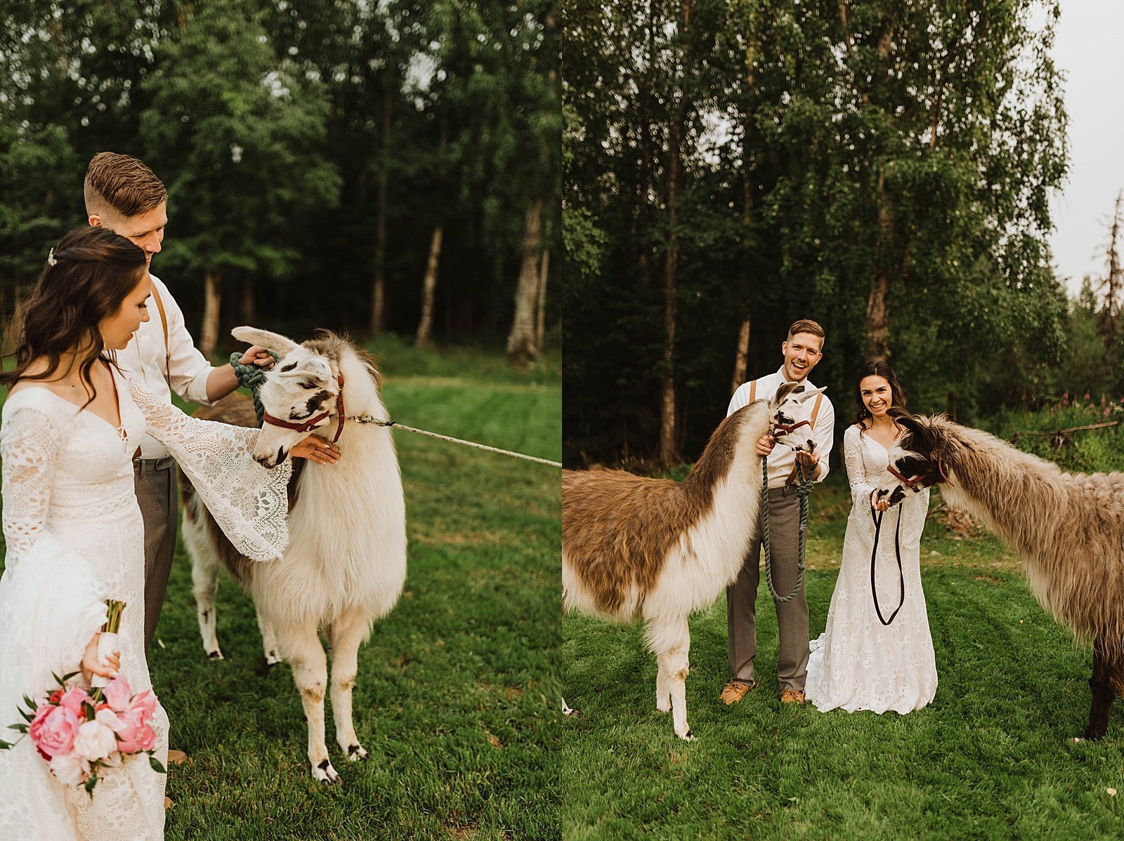  Bride and groom pet animals at their day-after llama session 
