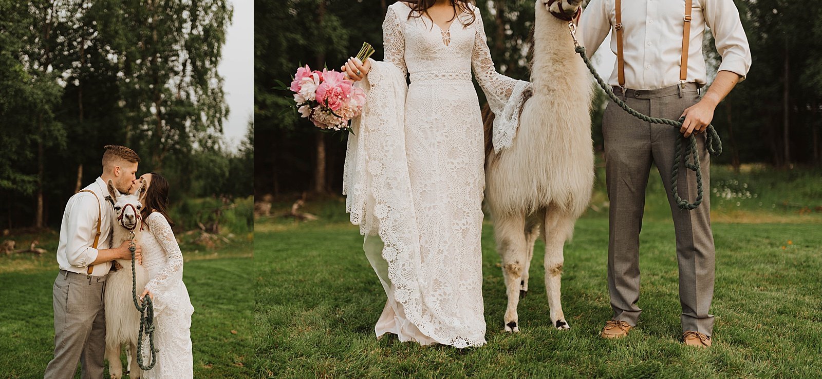  Bride and groom kiss over an animal for their day-after llama session 