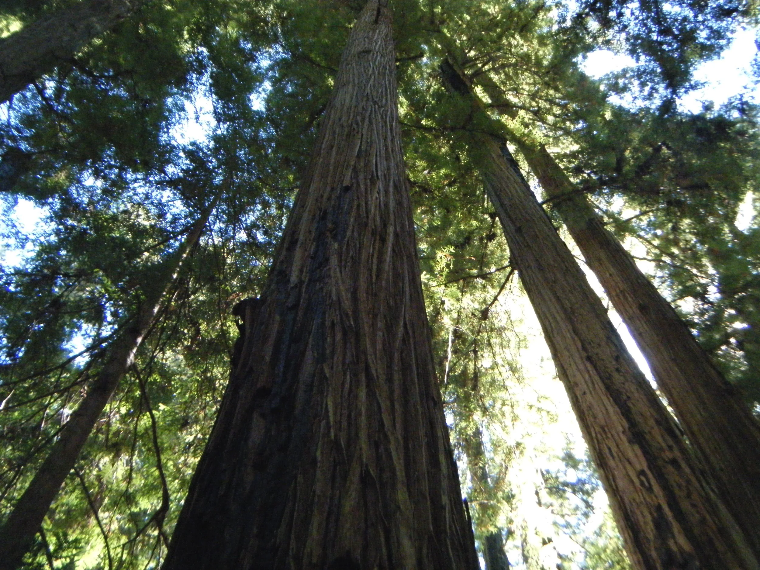DSCF1038.jpg