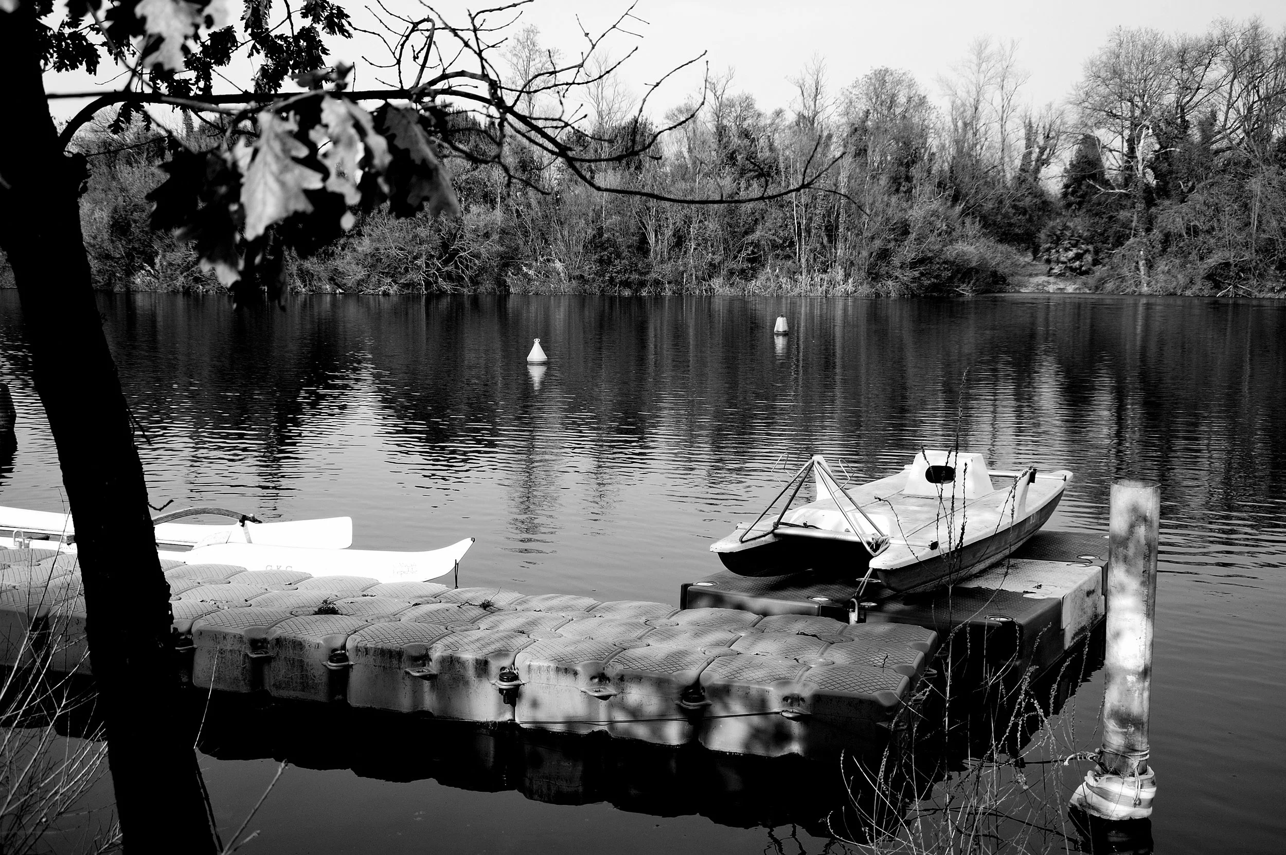 a cavallo a carnevale_4948.JPG