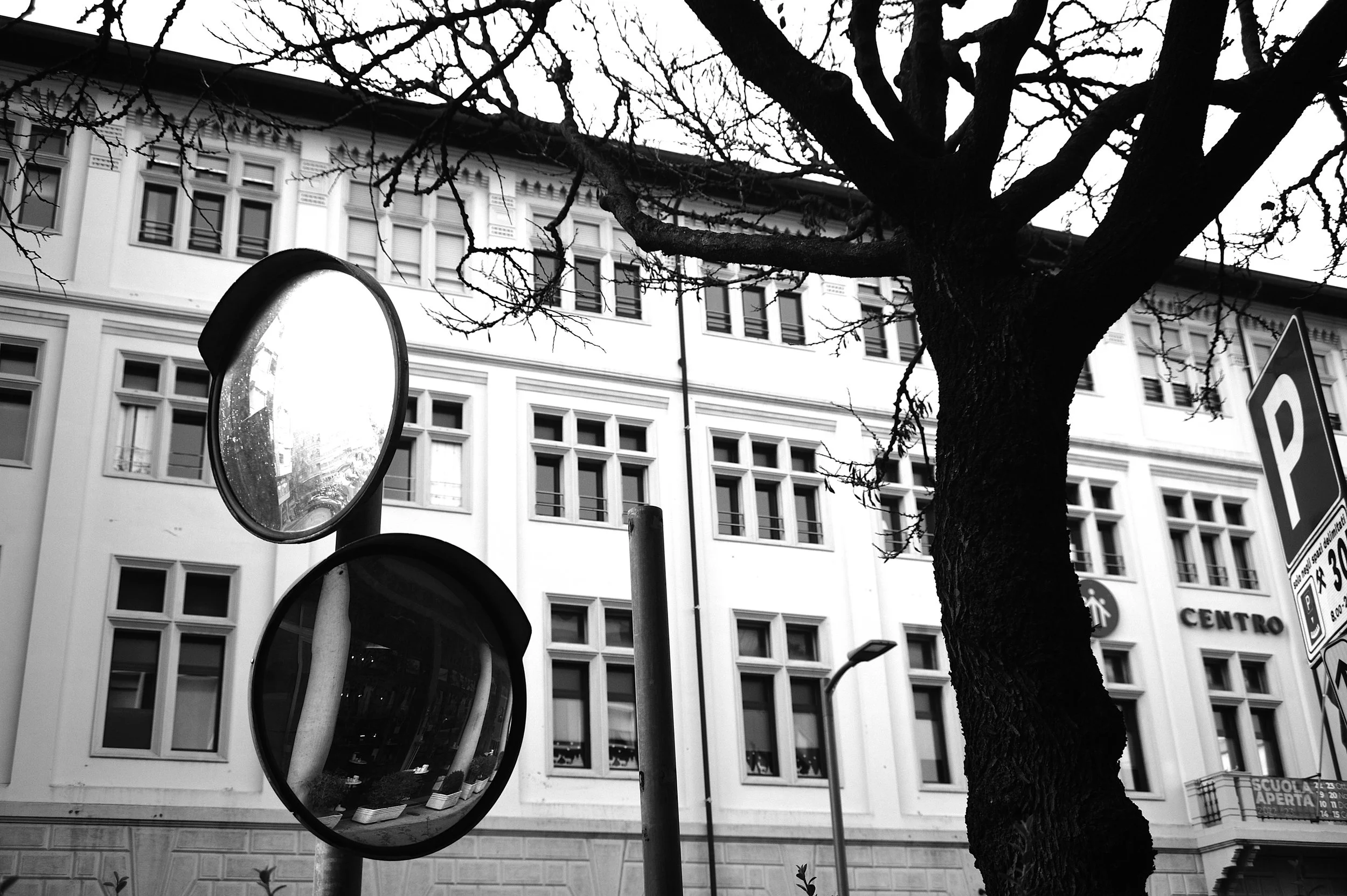 a cavallo a carnevale_4767.JPG