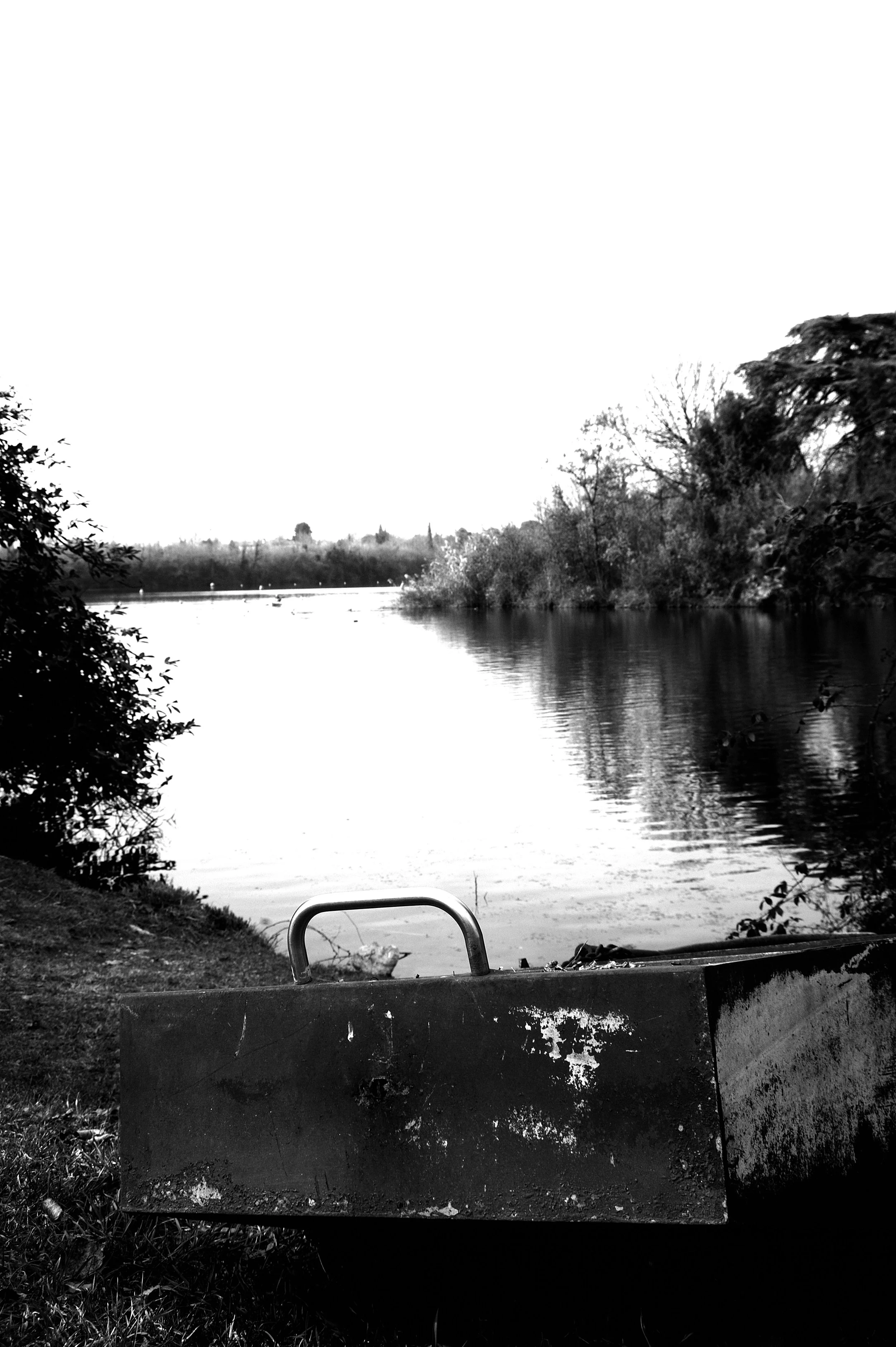 a cavallo a carnevale_4923.JPG