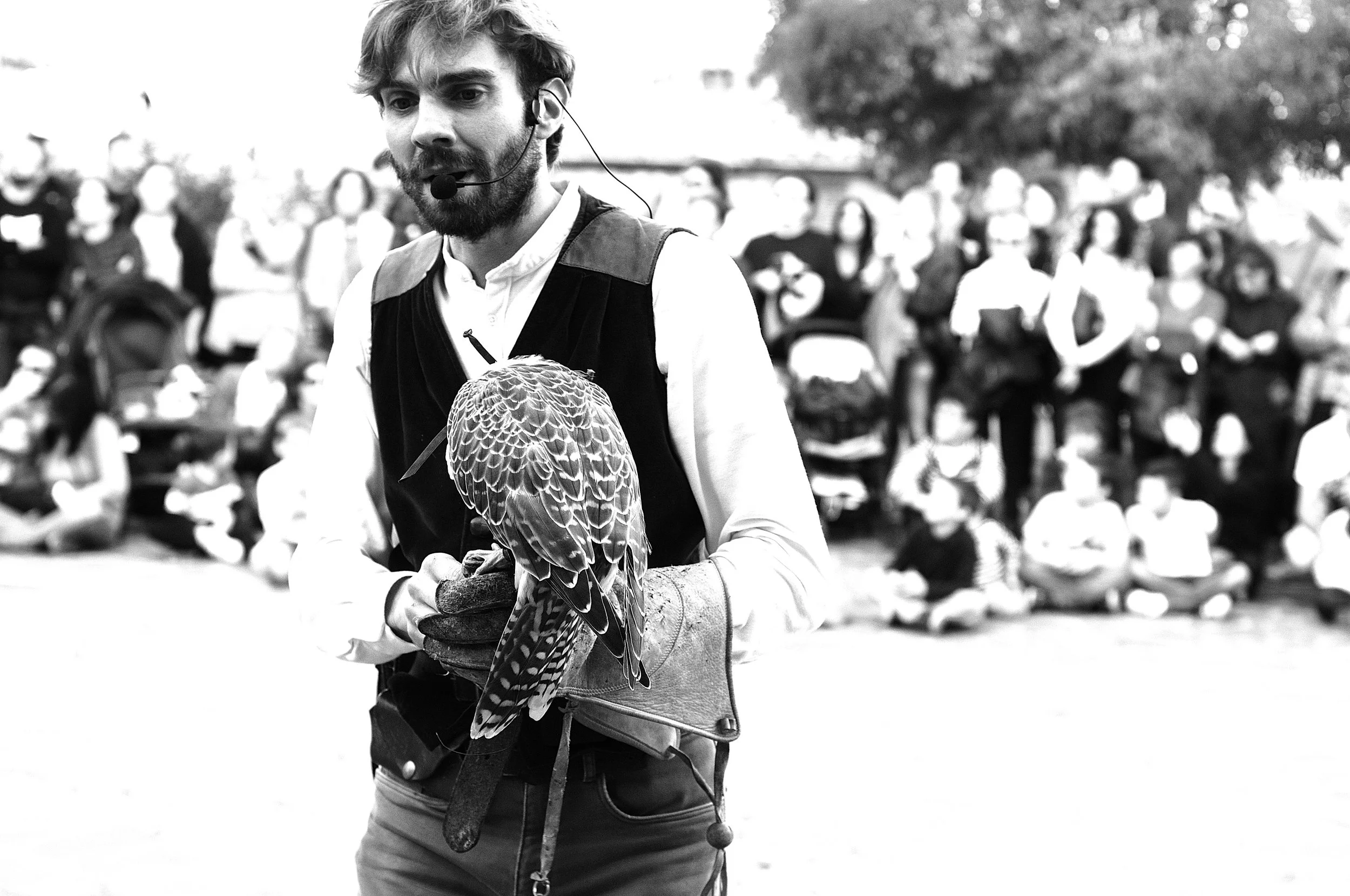 a cavallo a carnevale_5189.JPG