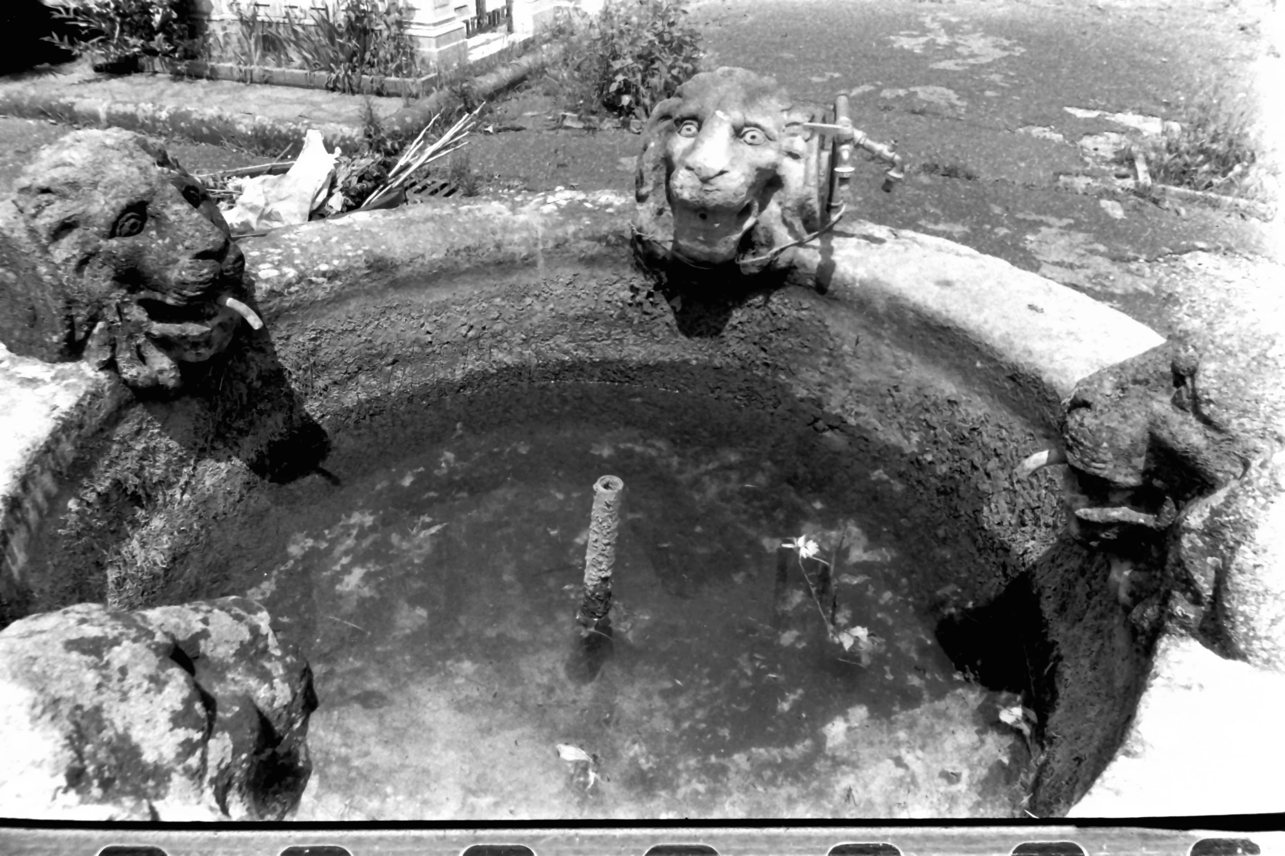 verano roffeno norcia_8055.JPG