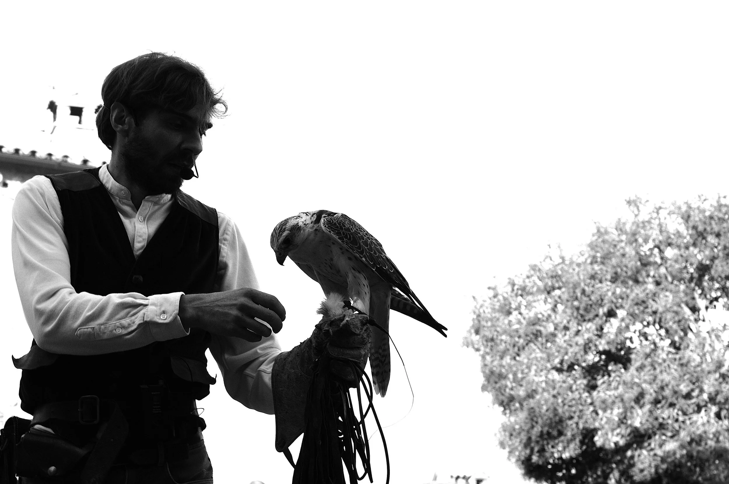 a cavallo a carnevale_5199.JPG