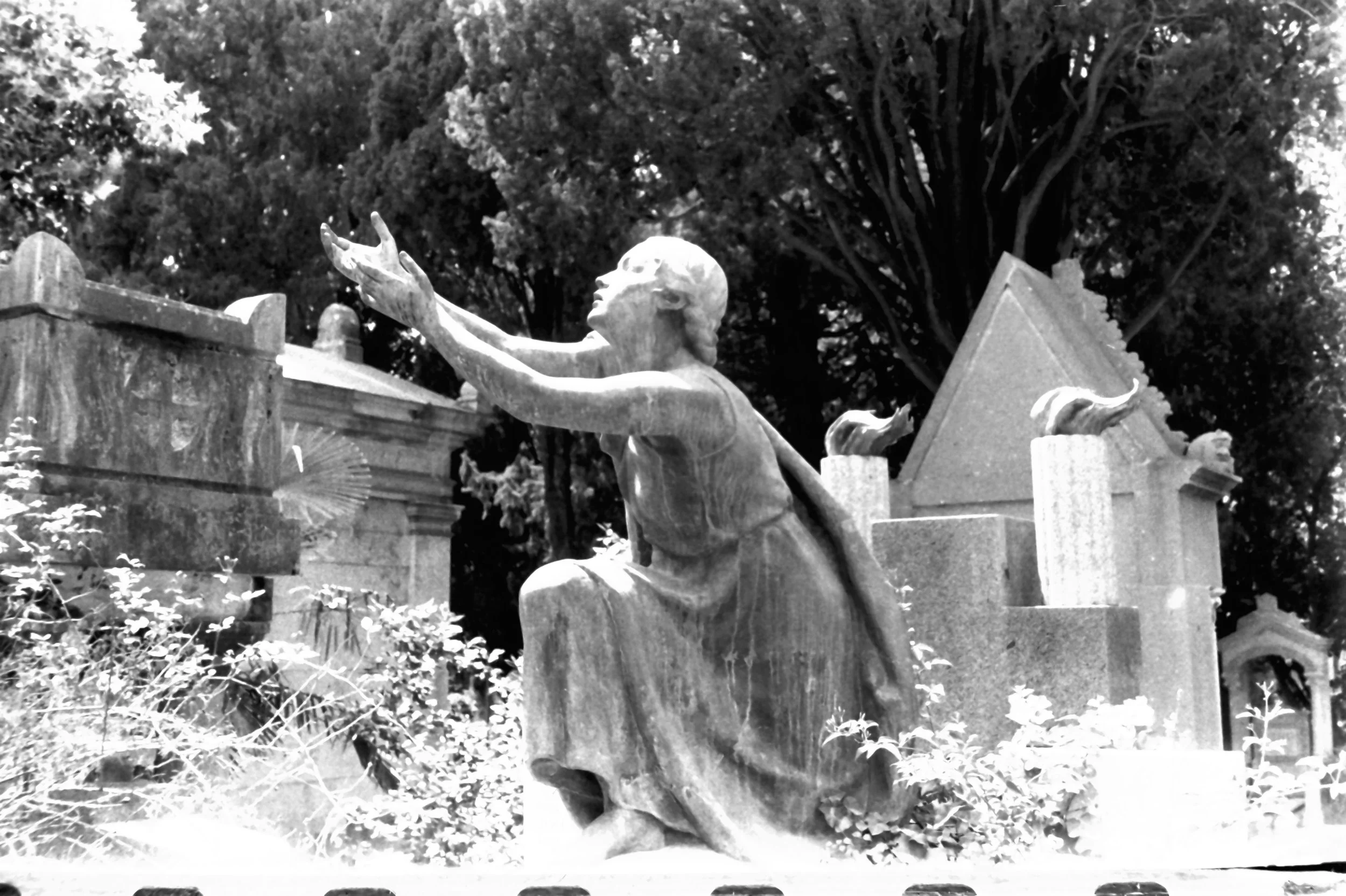 cdm mario paola_8134.JPG